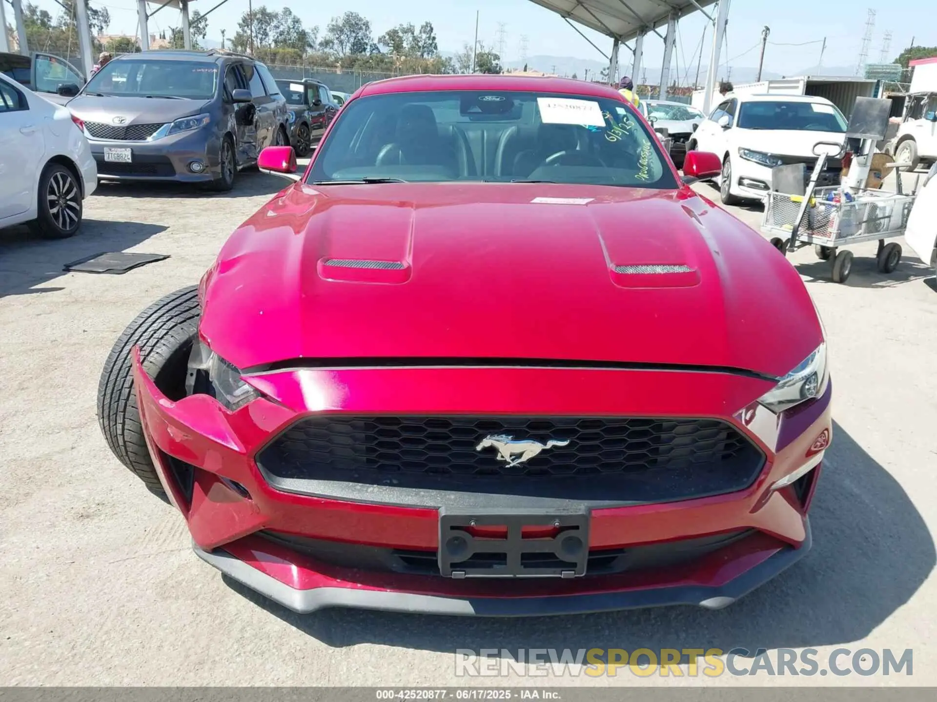12 Photograph of a damaged car 1FA6P8TH7M5125744 FORD MUSTANG 2021