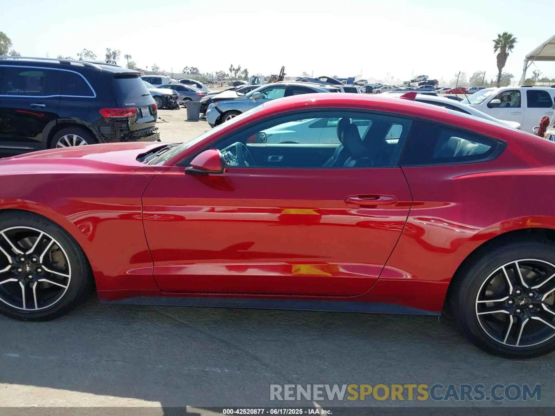 14 Photograph of a damaged car 1FA6P8TH7M5125744 FORD MUSTANG 2021