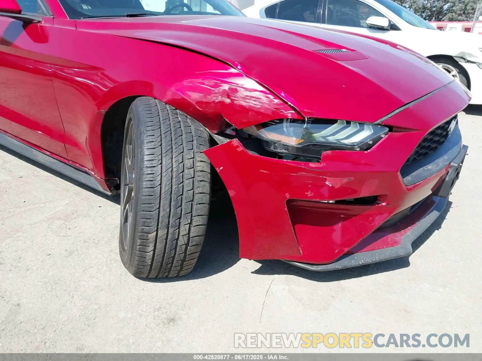 6 Photograph of a damaged car 1FA6P8TH7M5125744 FORD MUSTANG 2021