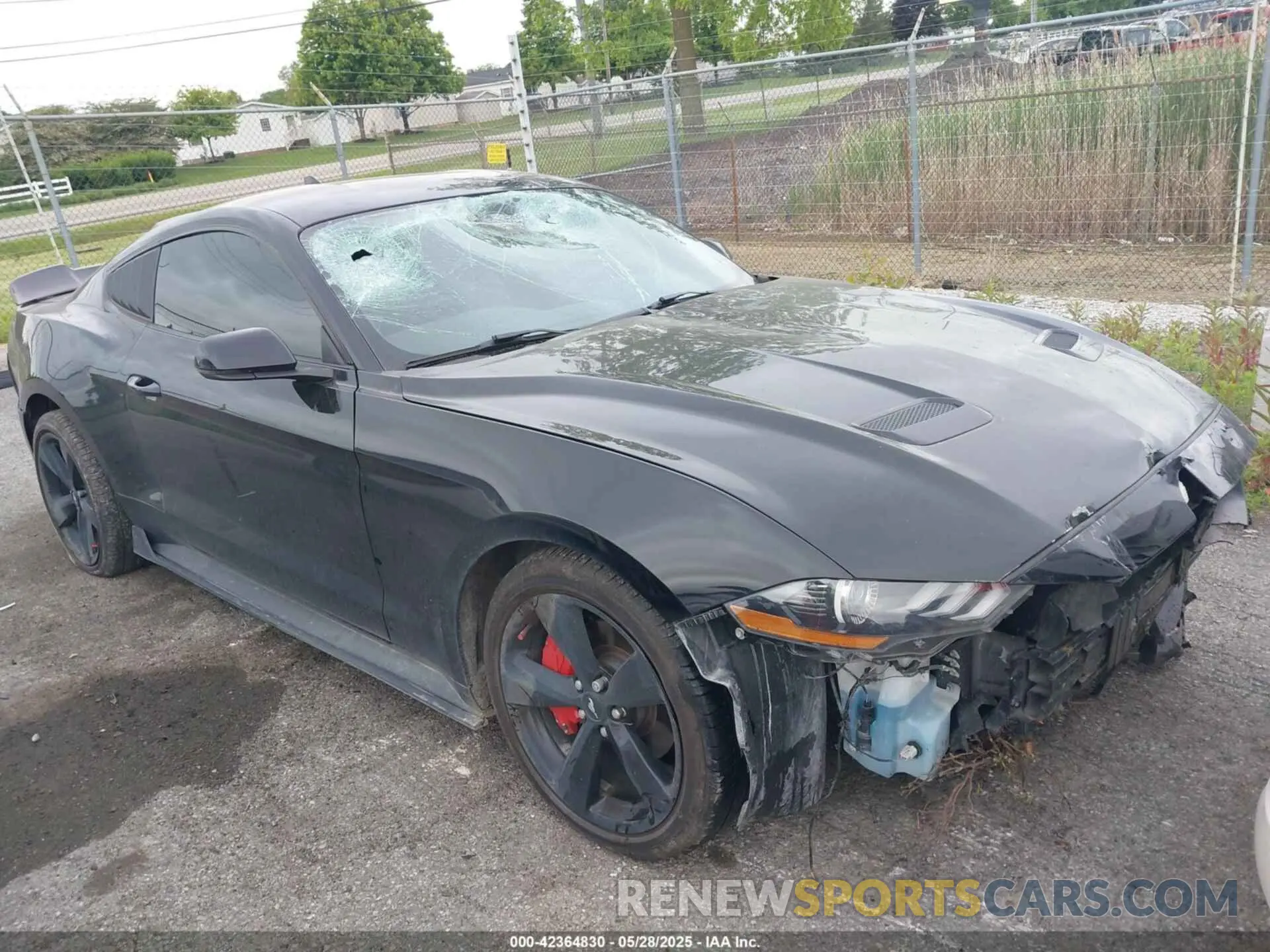 1 Photograph of a damaged car 1FA6P8TH7M5132841 FORD MUSTANG 2021