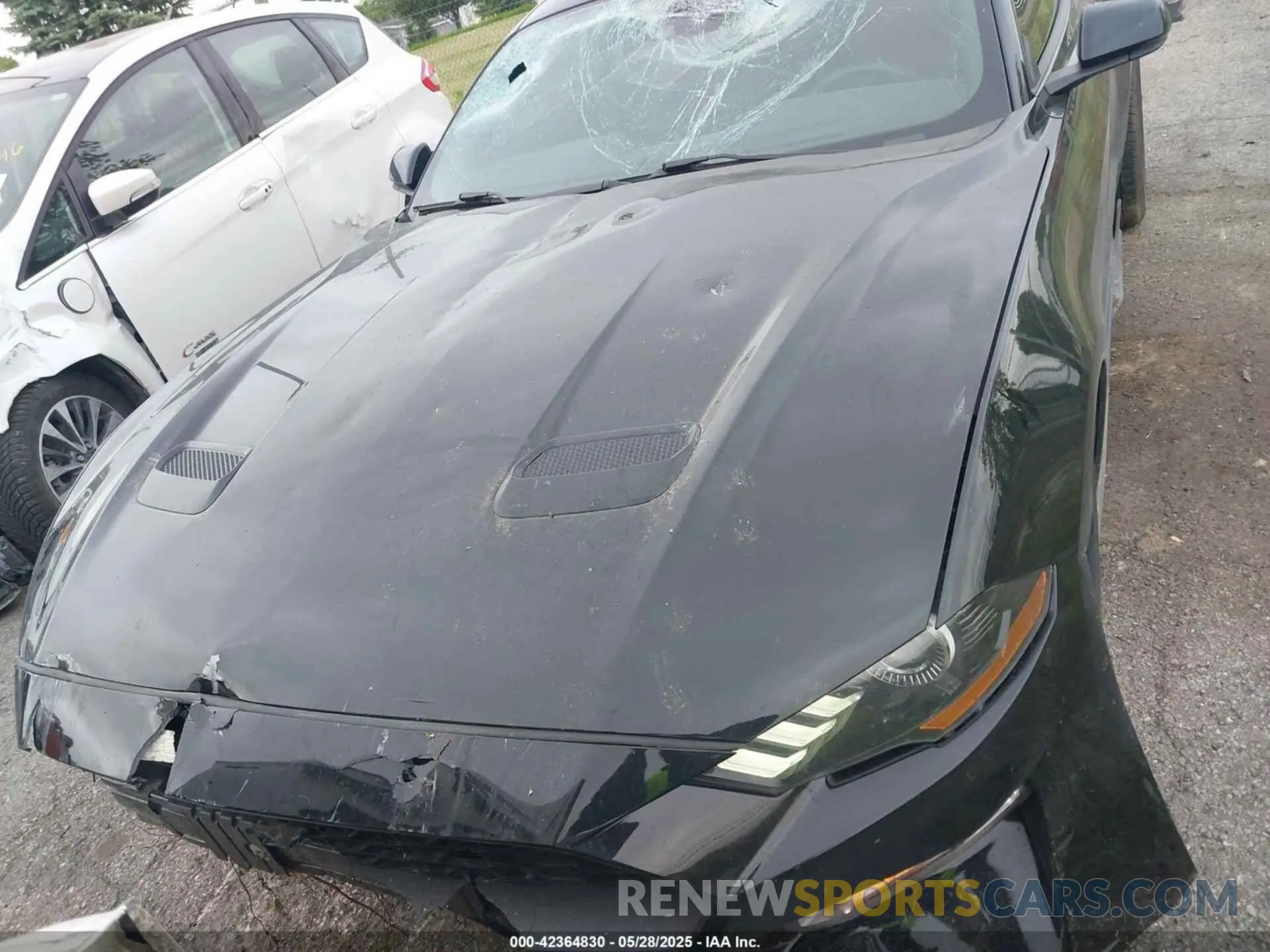 12 Photograph of a damaged car 1FA6P8TH7M5132841 FORD MUSTANG 2021