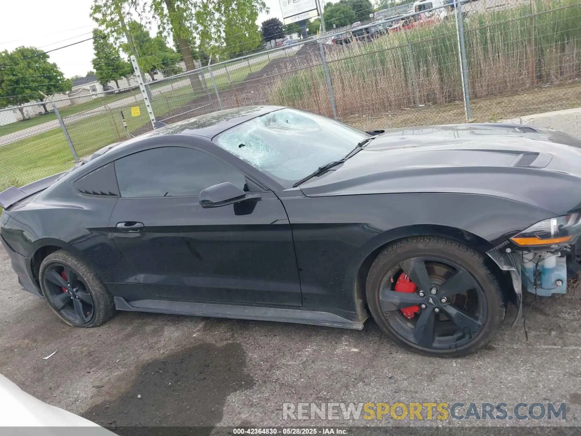 13 Photograph of a damaged car 1FA6P8TH7M5132841 FORD MUSTANG 2021