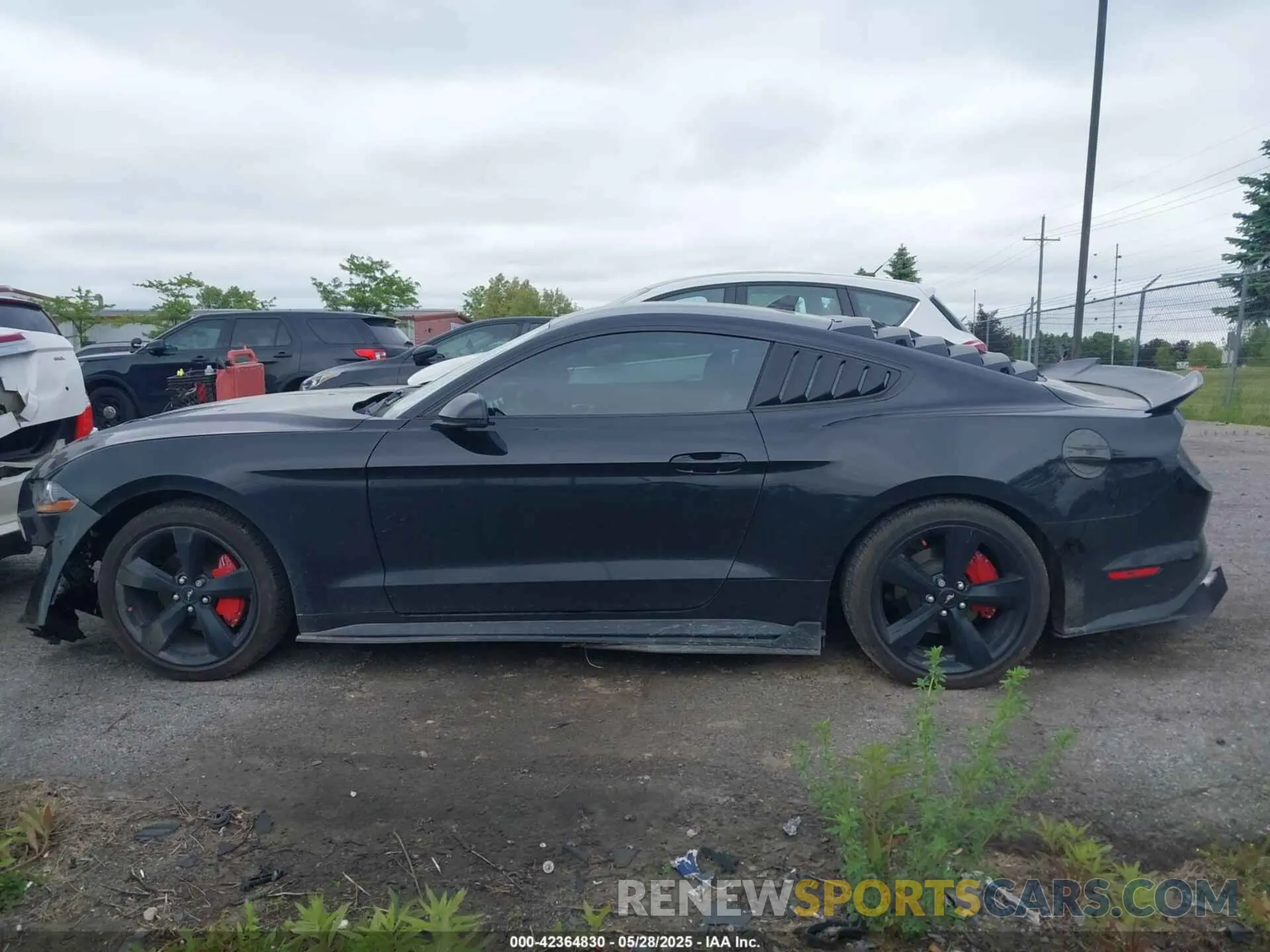 14 Photograph of a damaged car 1FA6P8TH7M5132841 FORD MUSTANG 2021