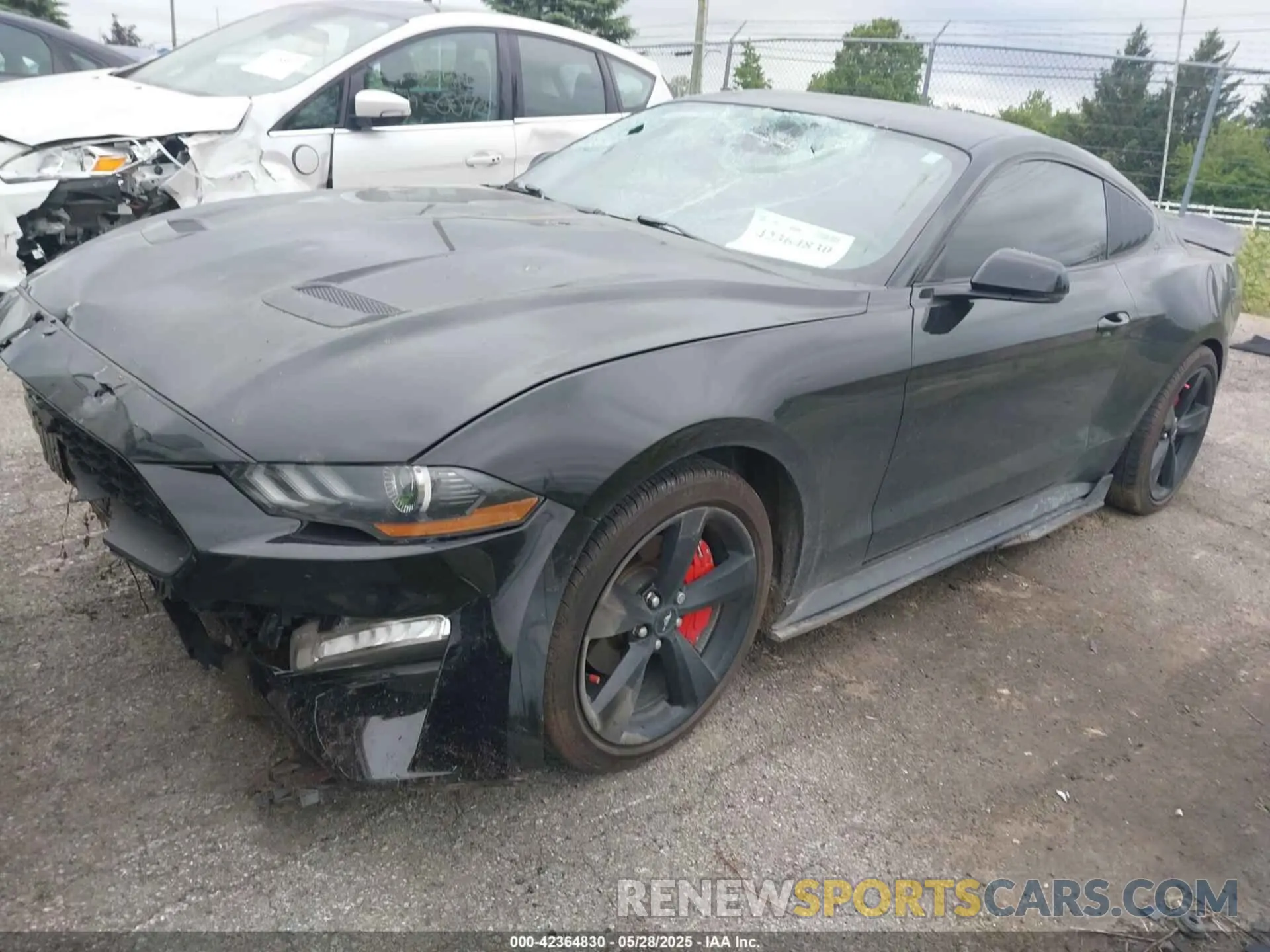 2 Photograph of a damaged car 1FA6P8TH7M5132841 FORD MUSTANG 2021