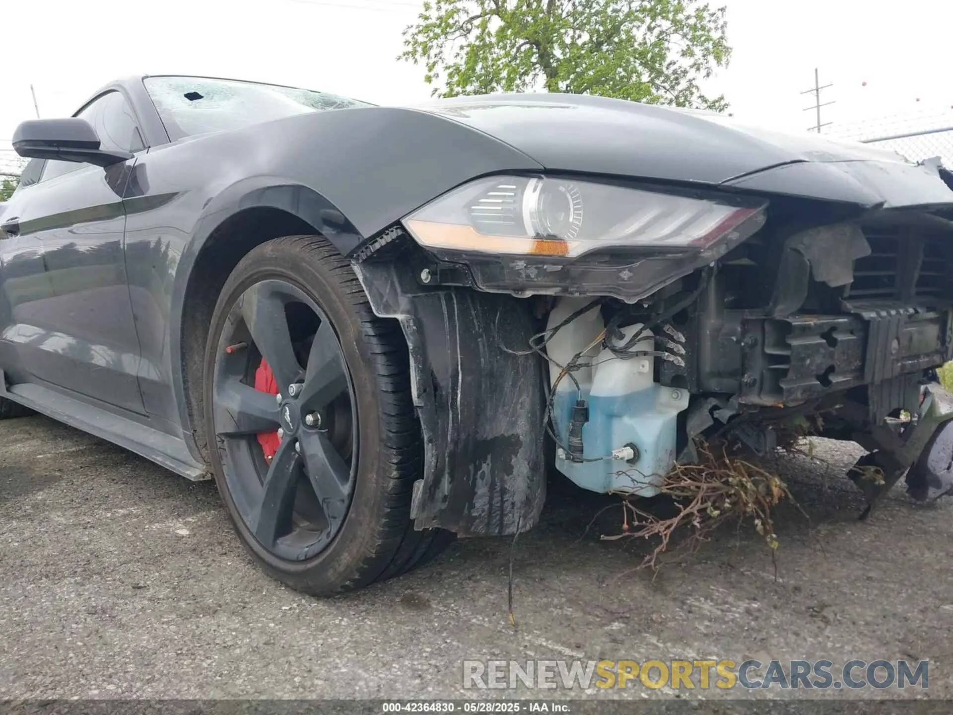6 Photograph of a damaged car 1FA6P8TH7M5132841 FORD MUSTANG 2021
