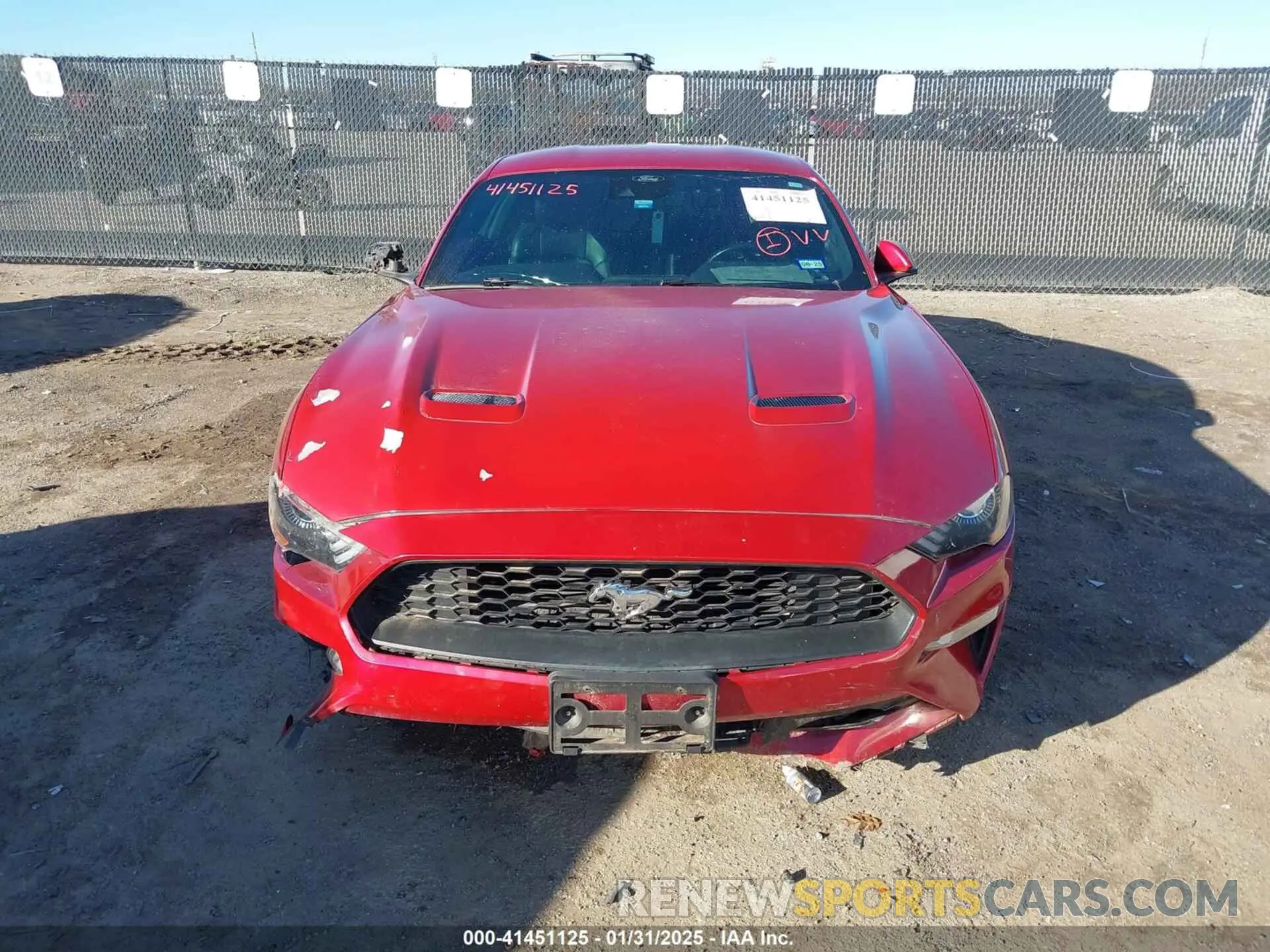 12 Photograph of a damaged car 1FA6P8TH8M5129026 FORD MUSTANG 2021
