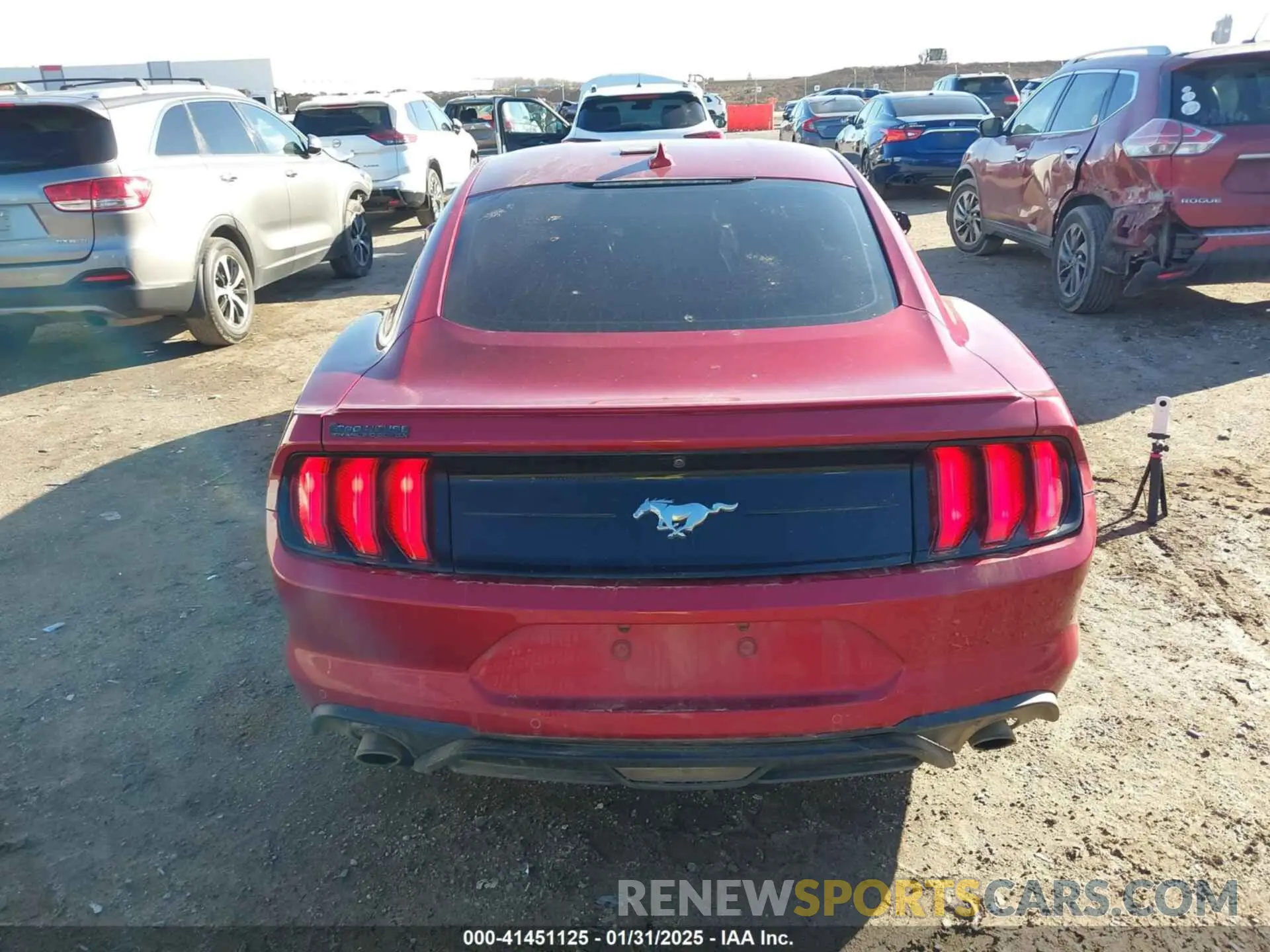 16 Photograph of a damaged car 1FA6P8TH8M5129026 FORD MUSTANG 2021