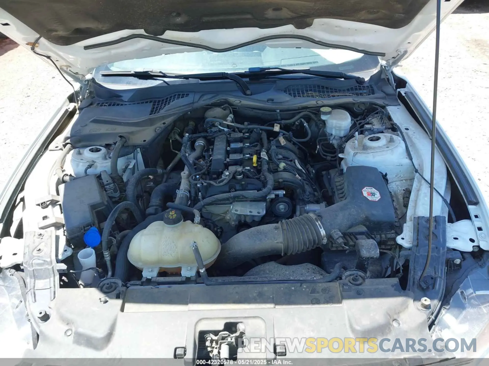 10 Photograph of a damaged car 1FA6P8TH8M5146814 FORD MUSTANG 2021