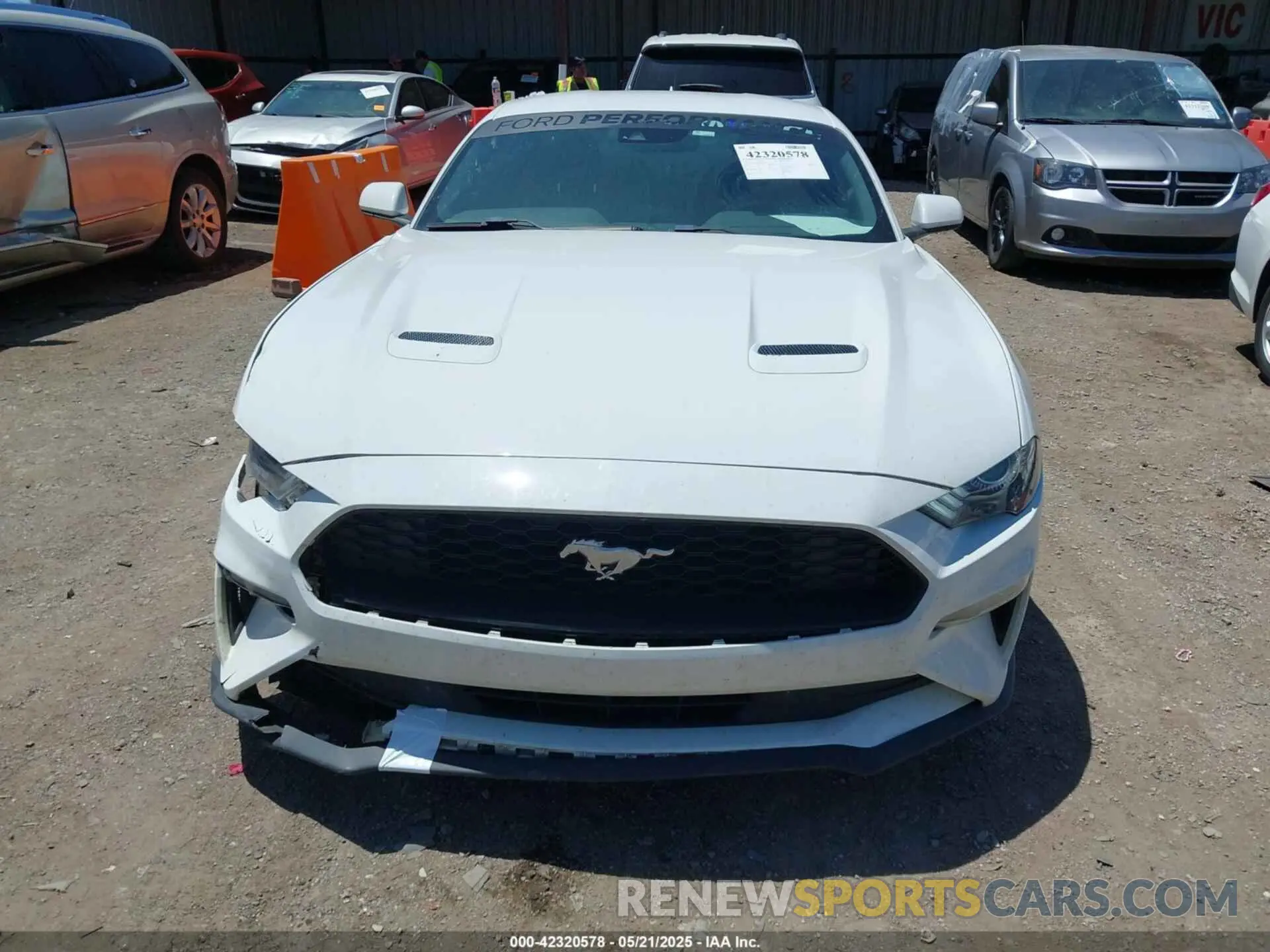 13 Photograph of a damaged car 1FA6P8TH8M5146814 FORD MUSTANG 2021