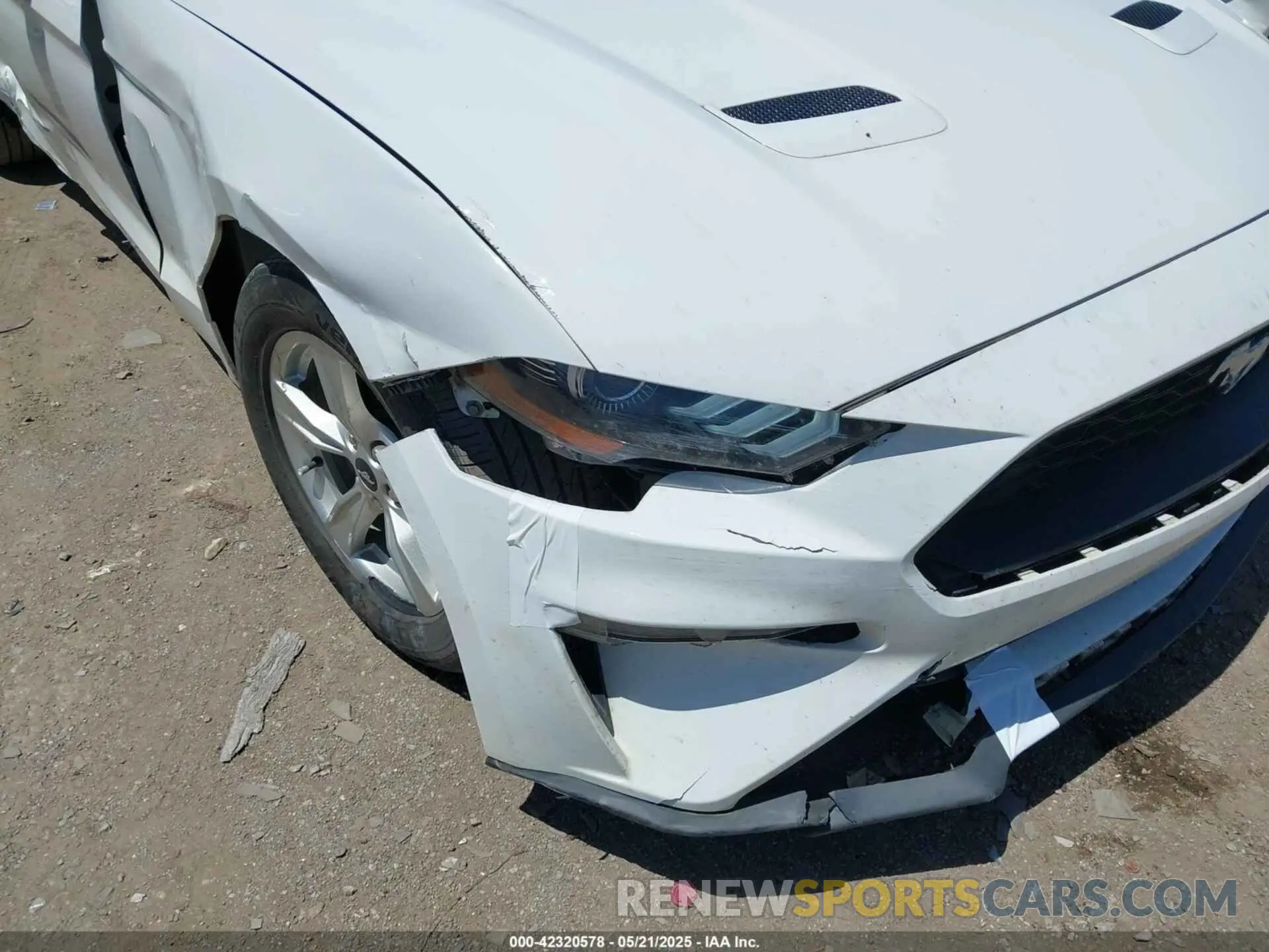 19 Photograph of a damaged car 1FA6P8TH8M5146814 FORD MUSTANG 2021