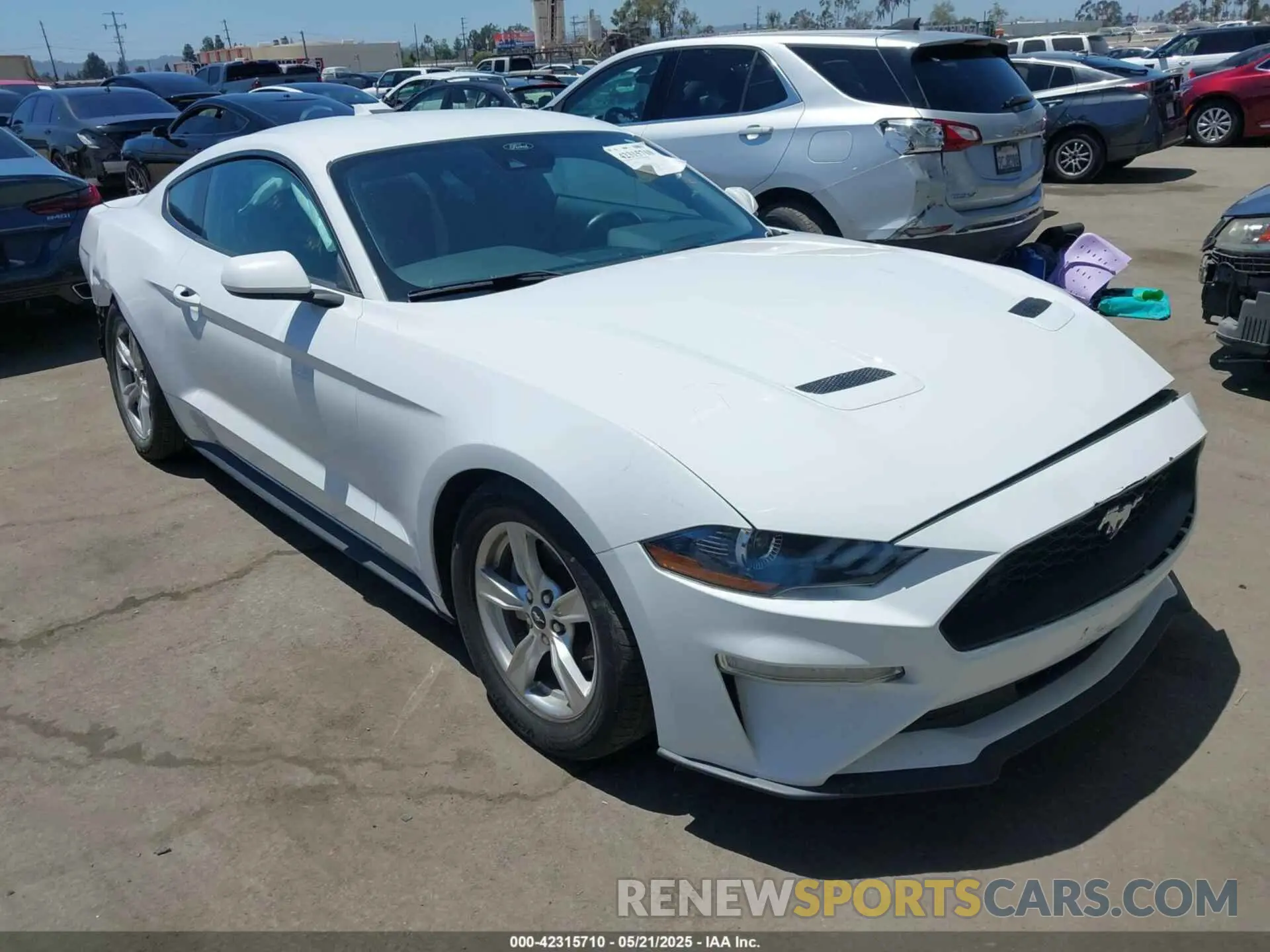 1 Photograph of a damaged car 1FA6P8TH8M5157702 FORD MUSTANG 2021