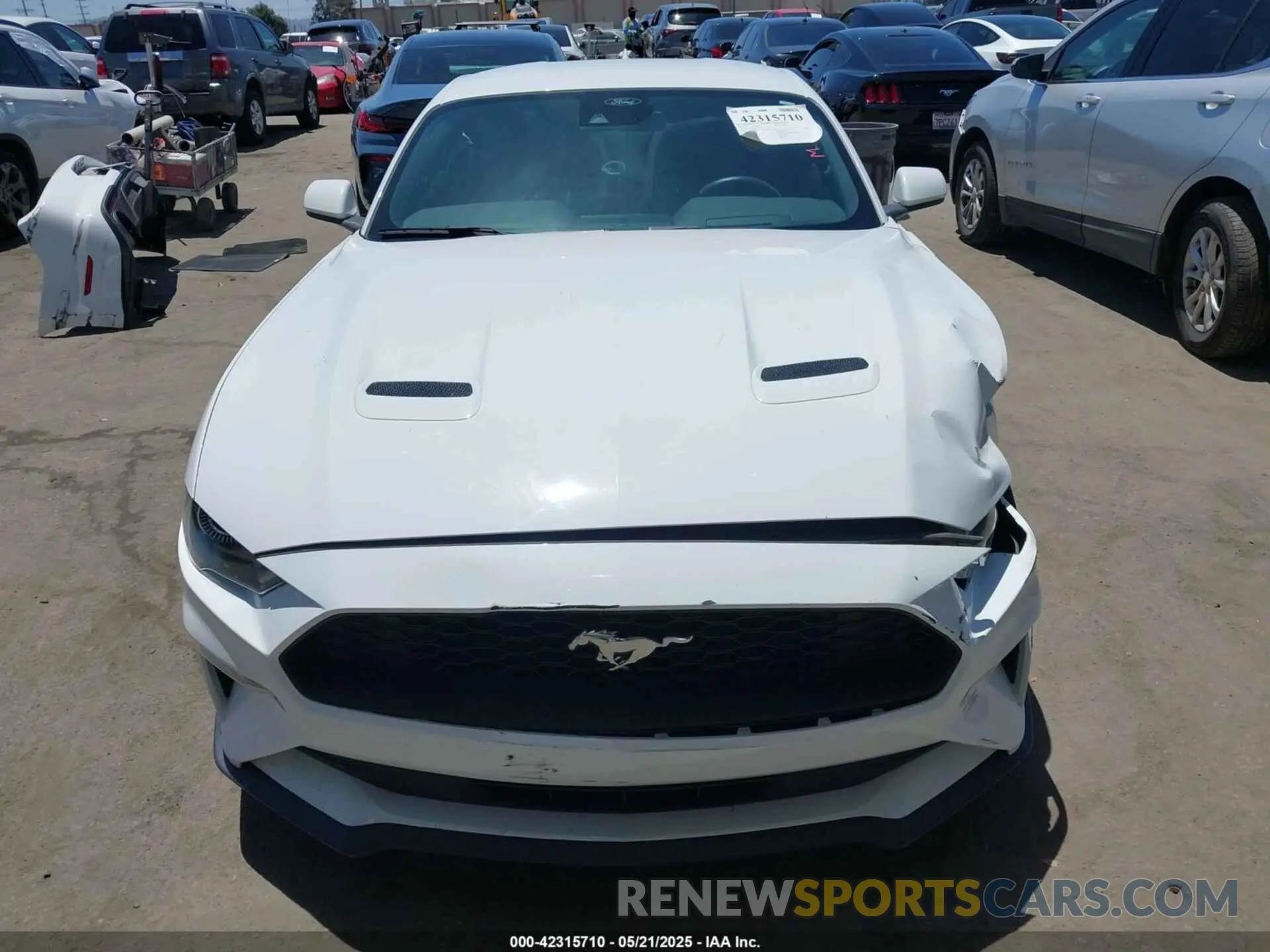 13 Photograph of a damaged car 1FA6P8TH8M5157702 FORD MUSTANG 2021