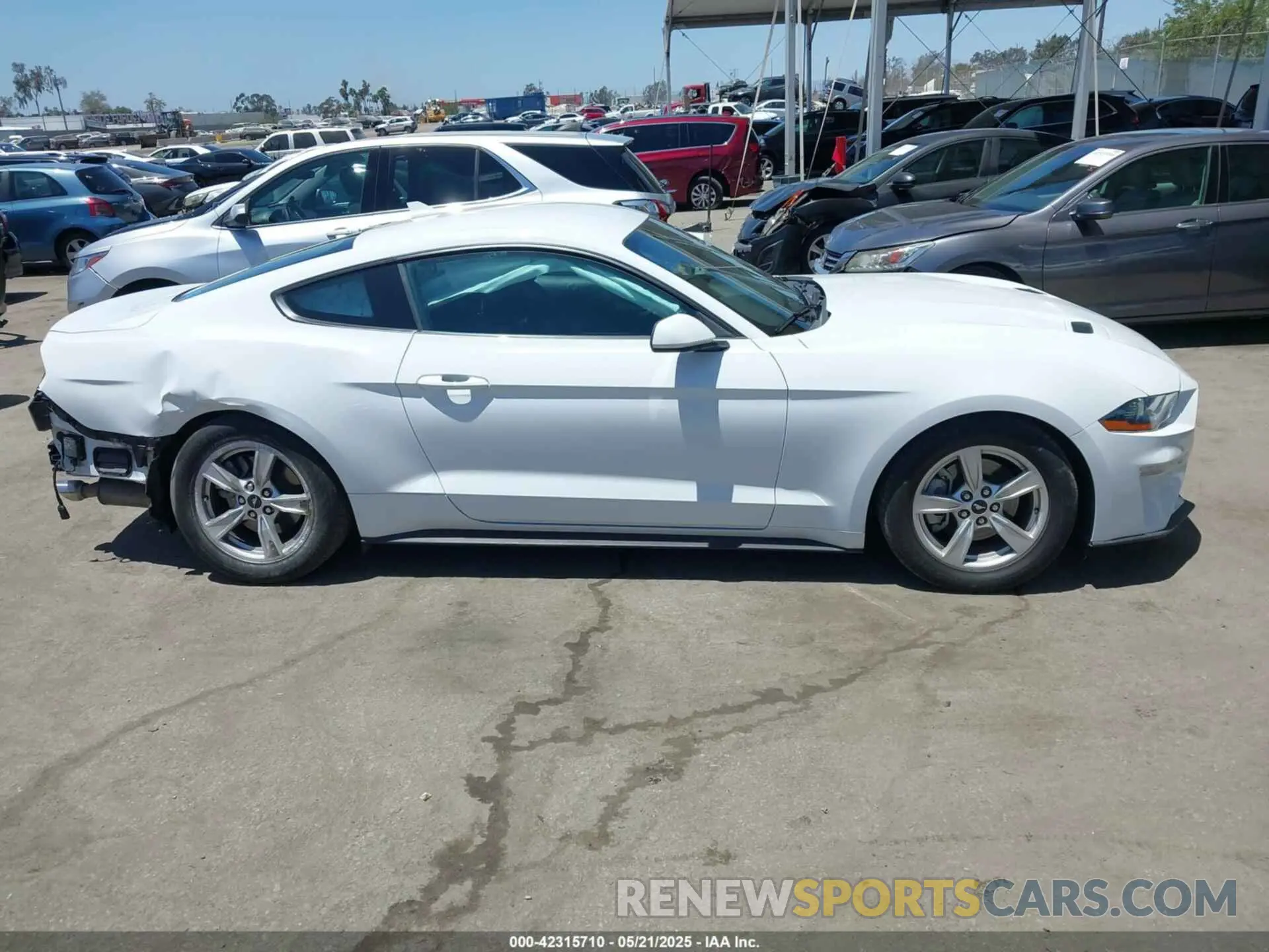 14 Photograph of a damaged car 1FA6P8TH8M5157702 FORD MUSTANG 2021