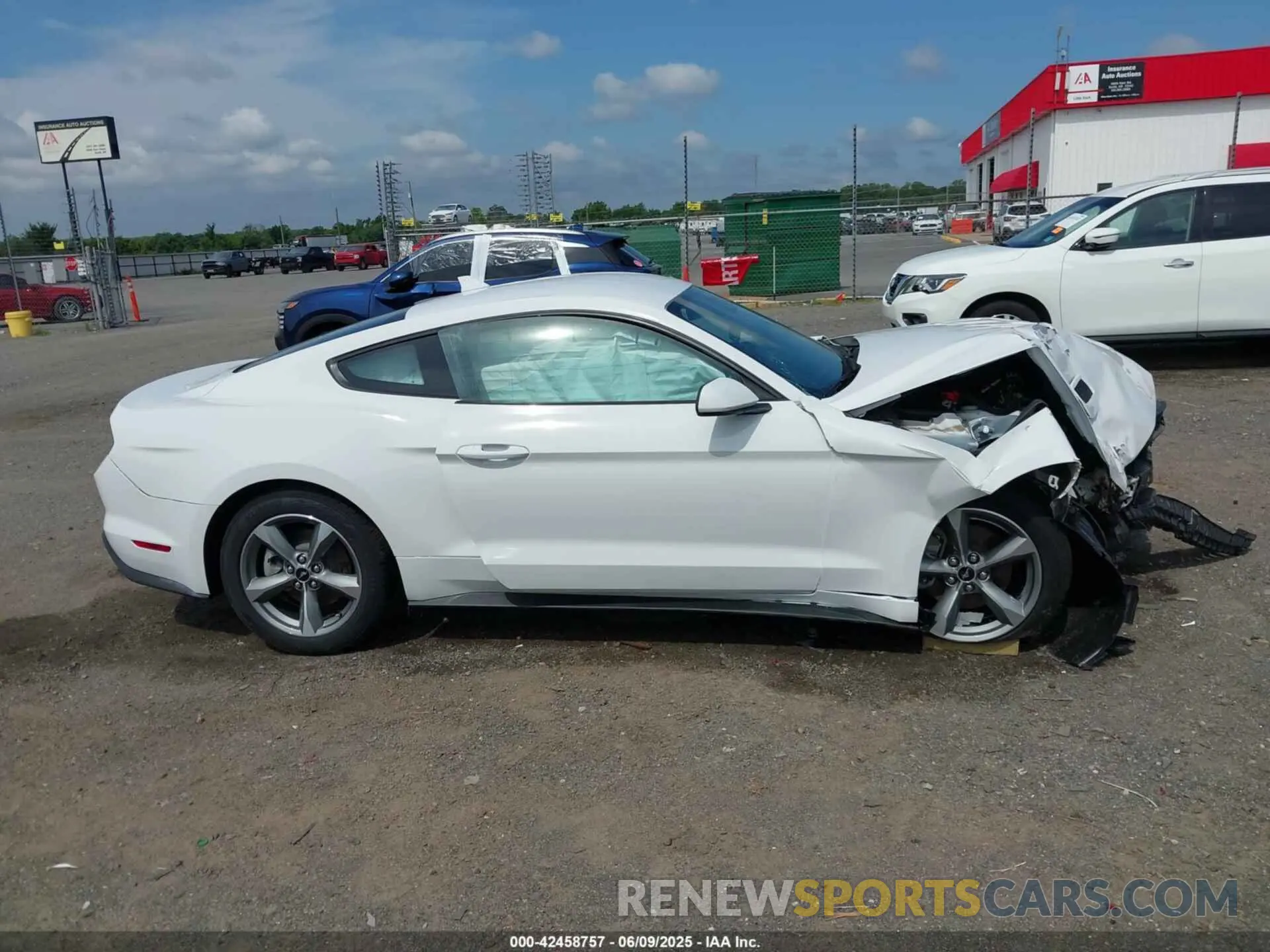 12 Photograph of a damaged car 1FA6P8THXM5153232 FORD MUSTANG 2021