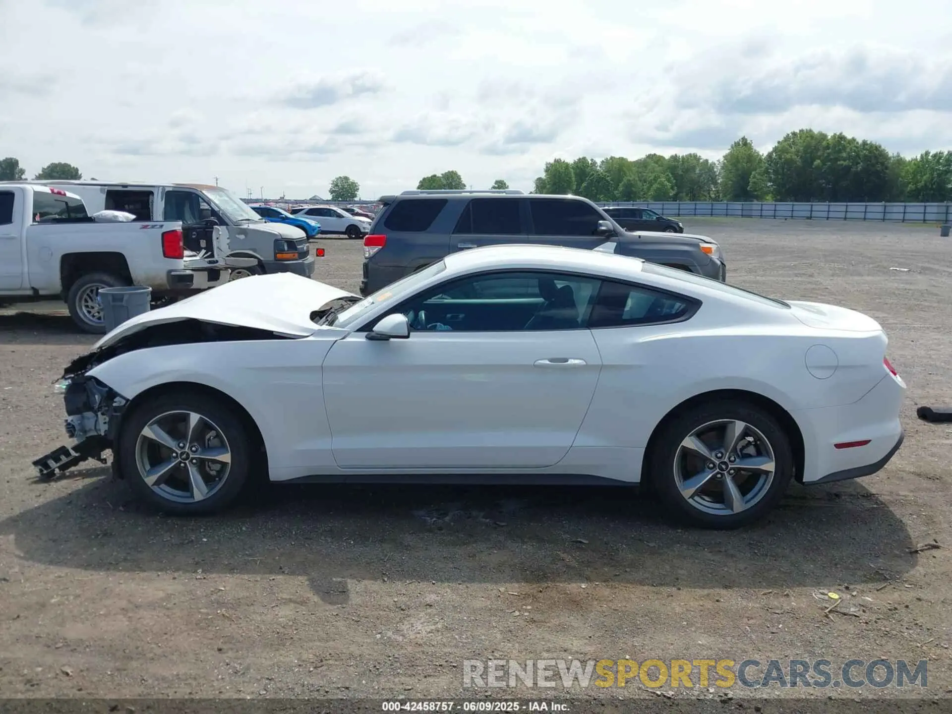 13 Photograph of a damaged car 1FA6P8THXM5153232 FORD MUSTANG 2021