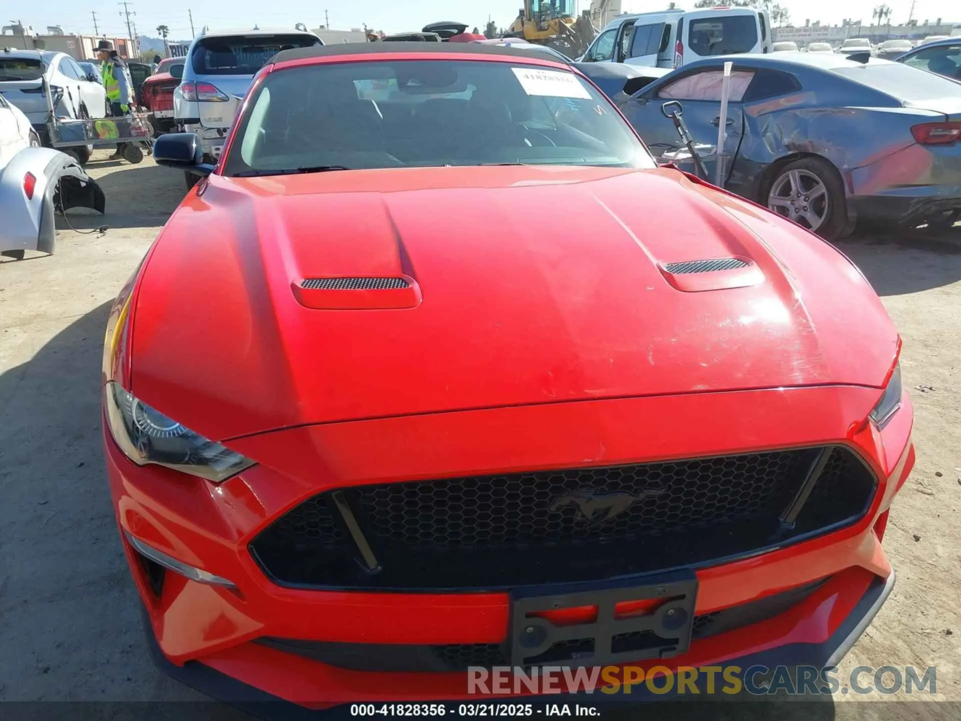 12 Photograph of a damaged car 1FATP8FFXM5115562 FORD MUSTANG 2021