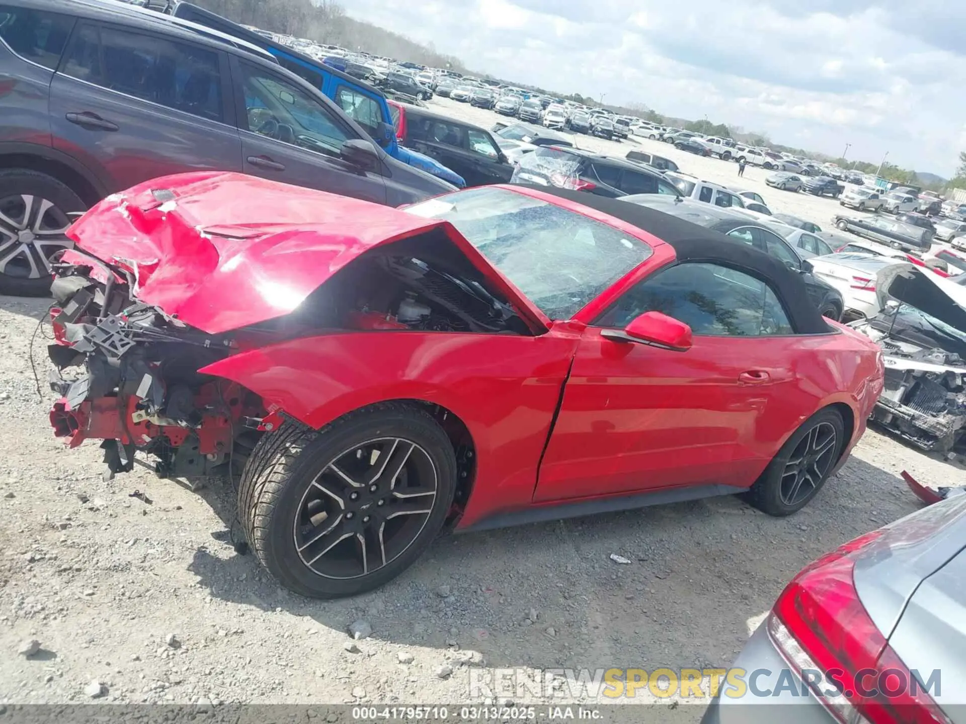 14 Photograph of a damaged car 1FATP8UH0M5107751 FORD MUSTANG 2021
