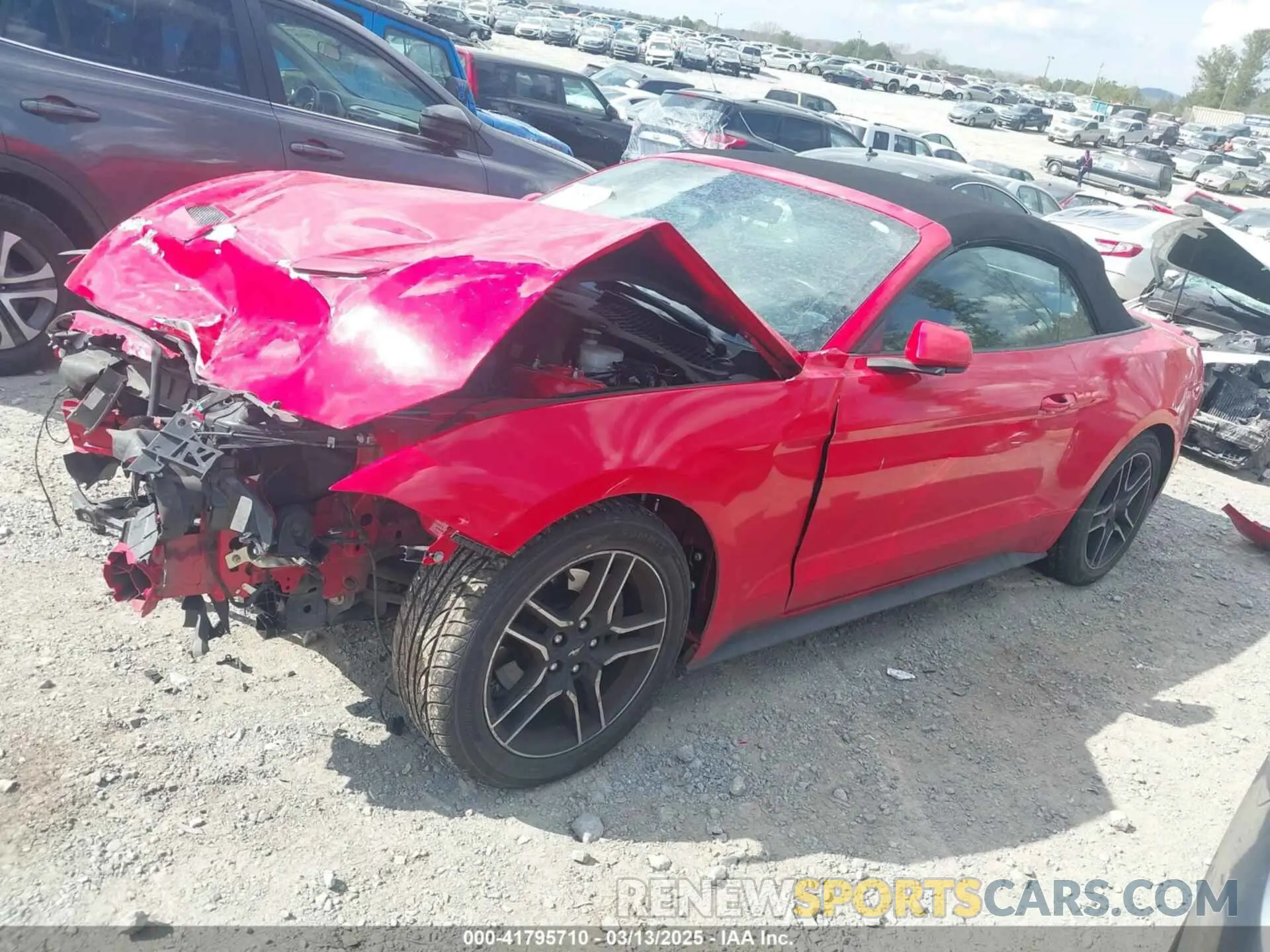 2 Photograph of a damaged car 1FATP8UH0M5107751 FORD MUSTANG 2021