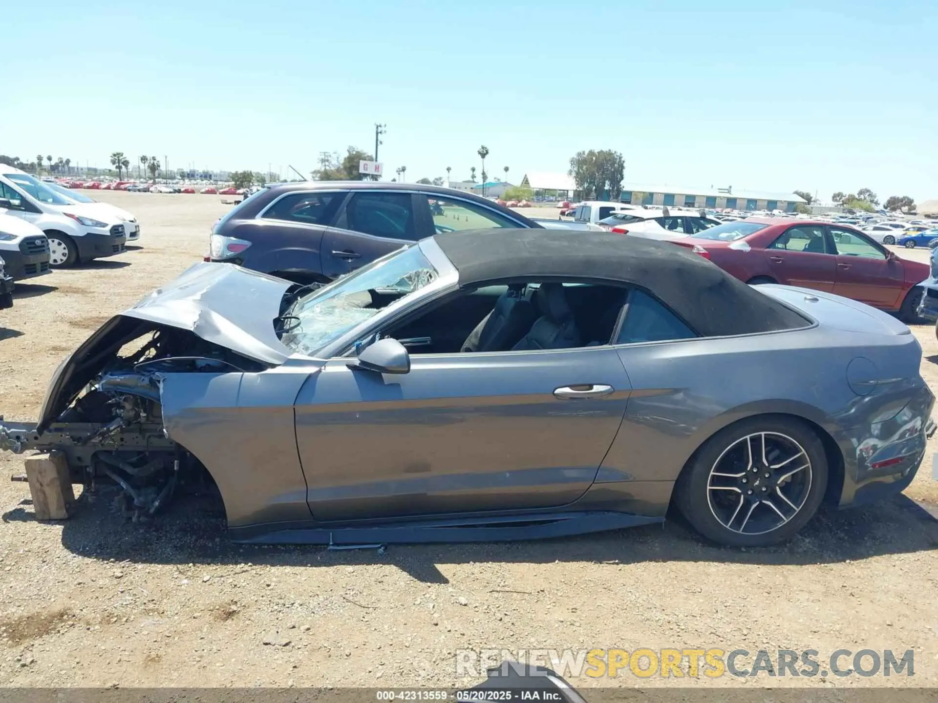 14 Photograph of a damaged car 1FATP8UH1M5123053 FORD MUSTANG 2021