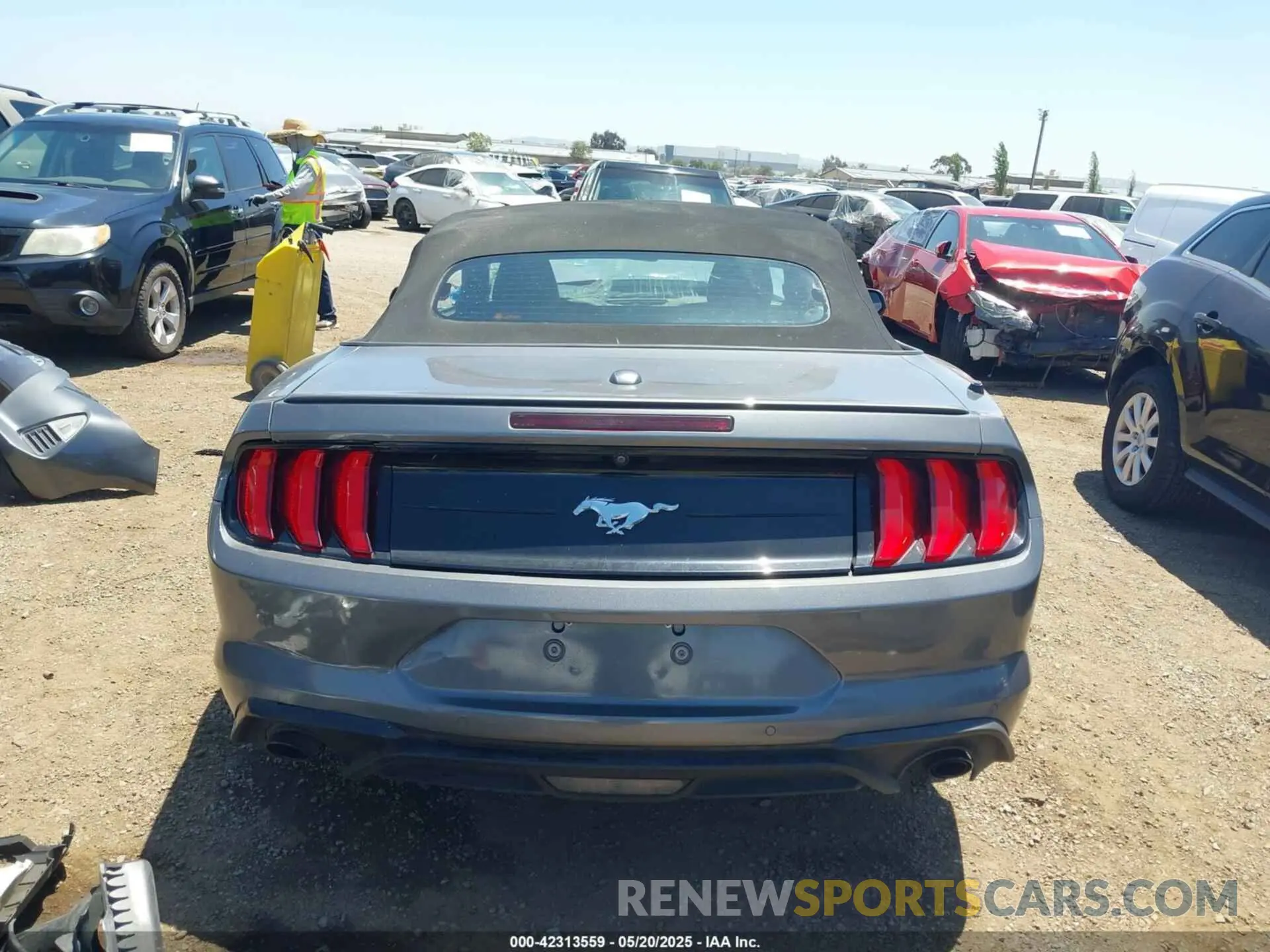 16 Photograph of a damaged car 1FATP8UH1M5123053 FORD MUSTANG 2021