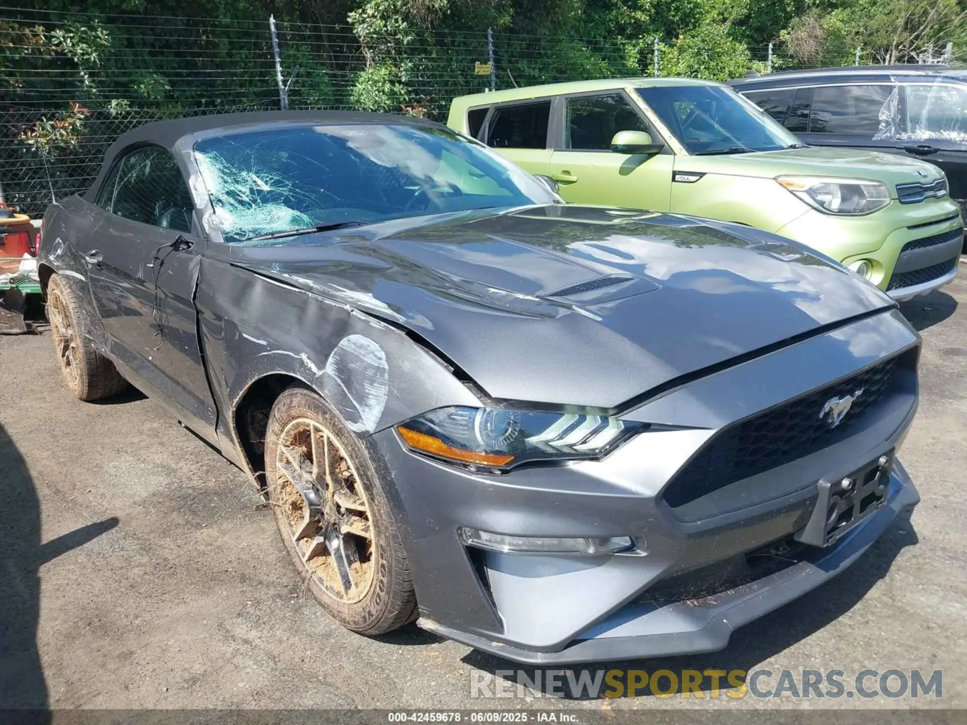 1 Photograph of a damaged car 1FATP8UH2M5104883 FORD MUSTANG 2021