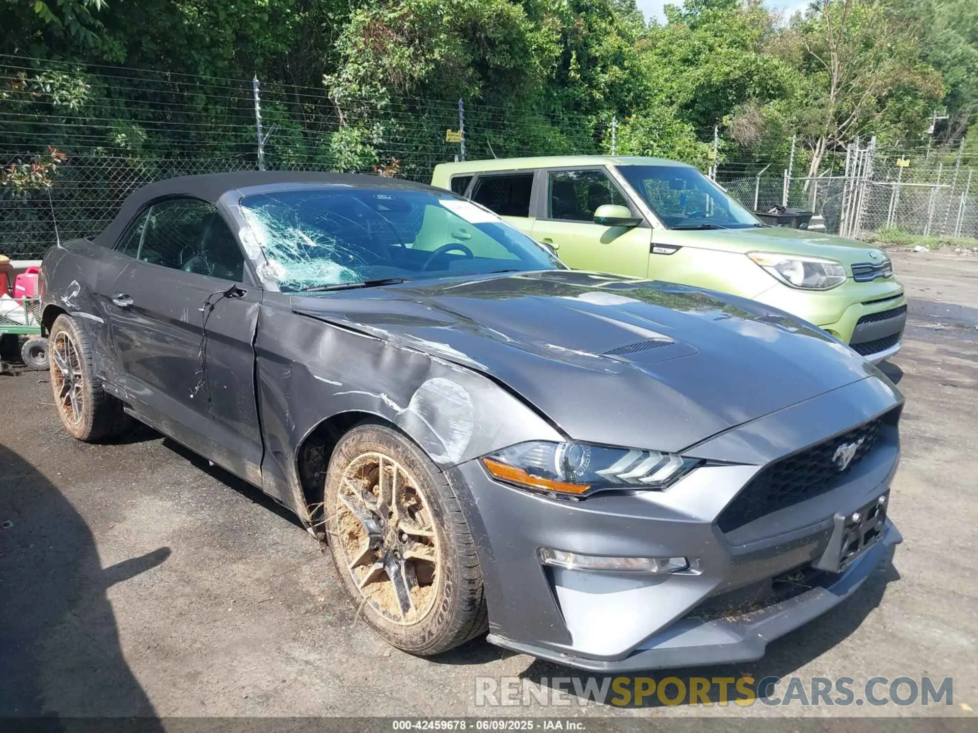 6 Photograph of a damaged car 1FATP8UH2M5104883 FORD MUSTANG 2021