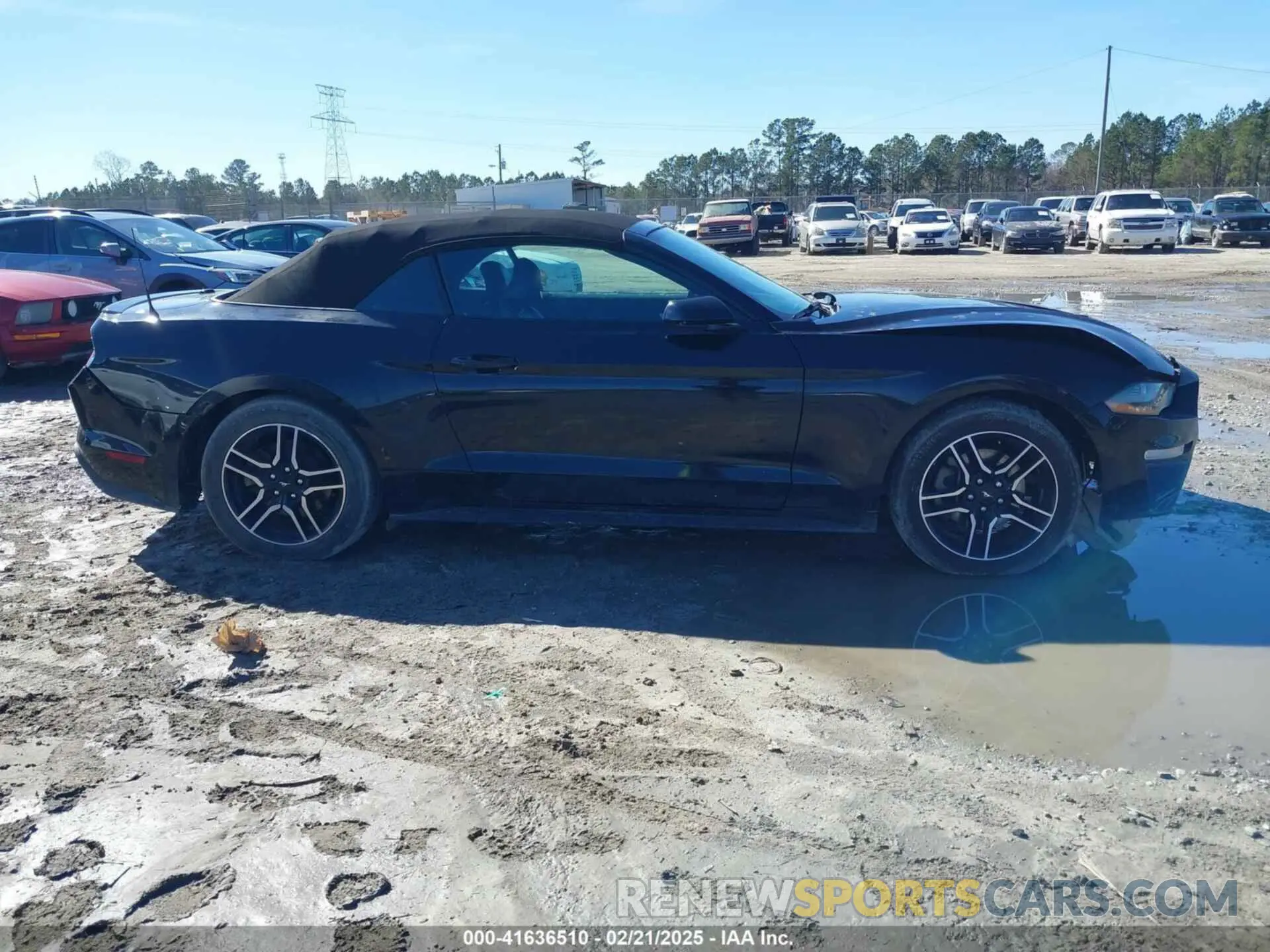 14 Photograph of a damaged car 1FATP8UH4M5109003 FORD MUSTANG 2021
