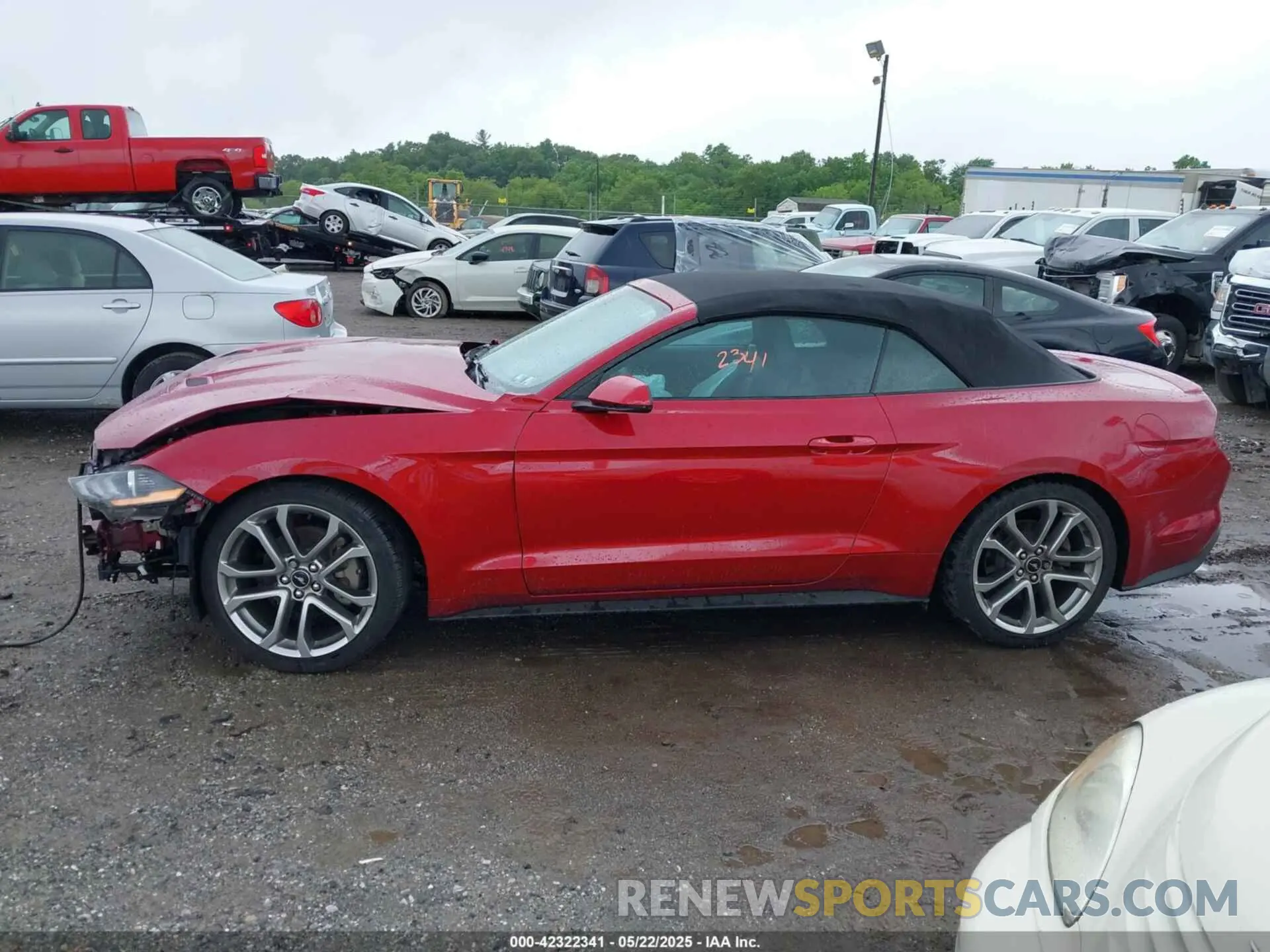 14 Photograph of a damaged car 1FATP8UH4M5122897 FORD MUSTANG 2021
