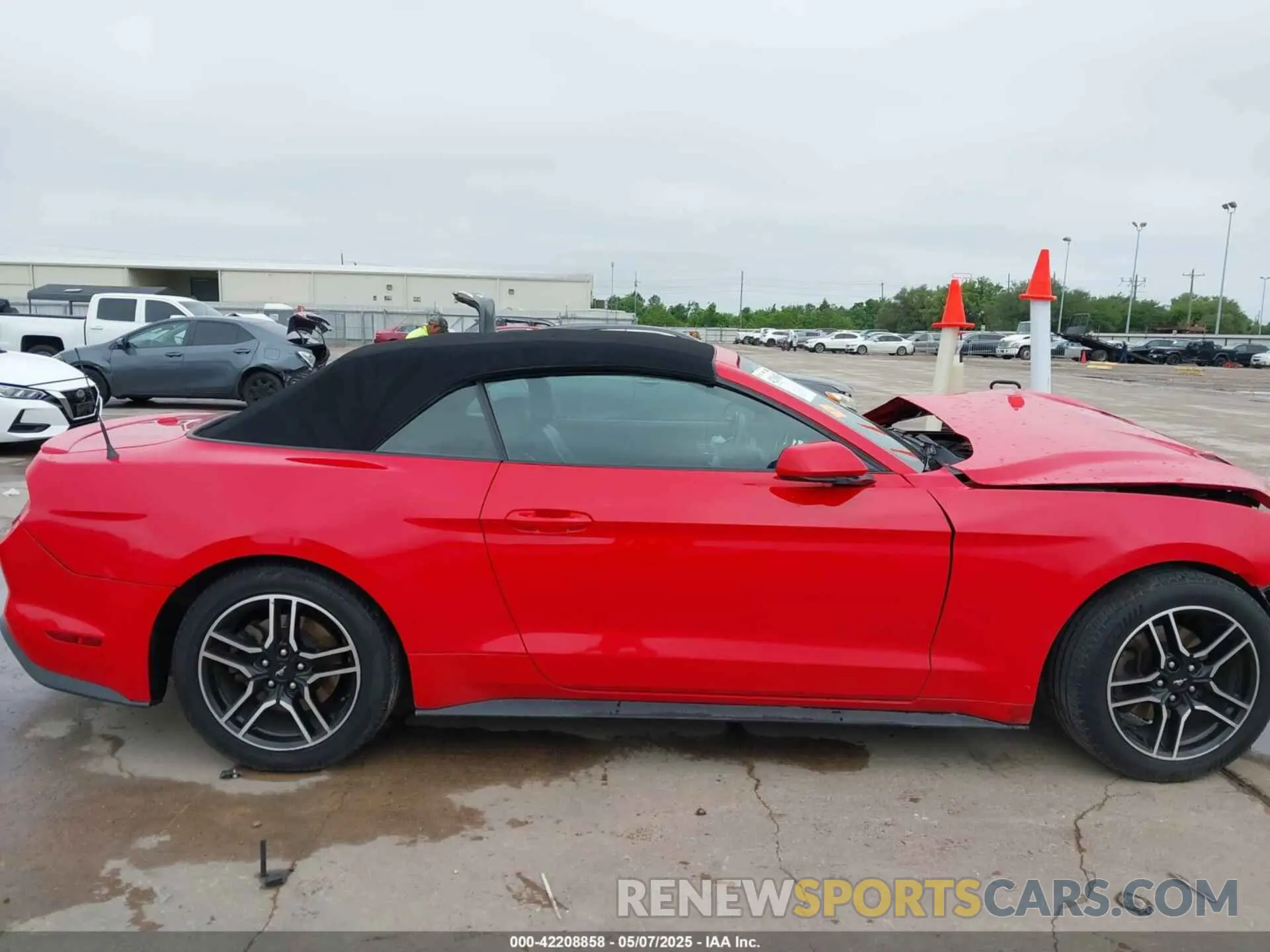 14 Photograph of a damaged car 1FATP8UH5M5105624 FORD MUSTANG 2021