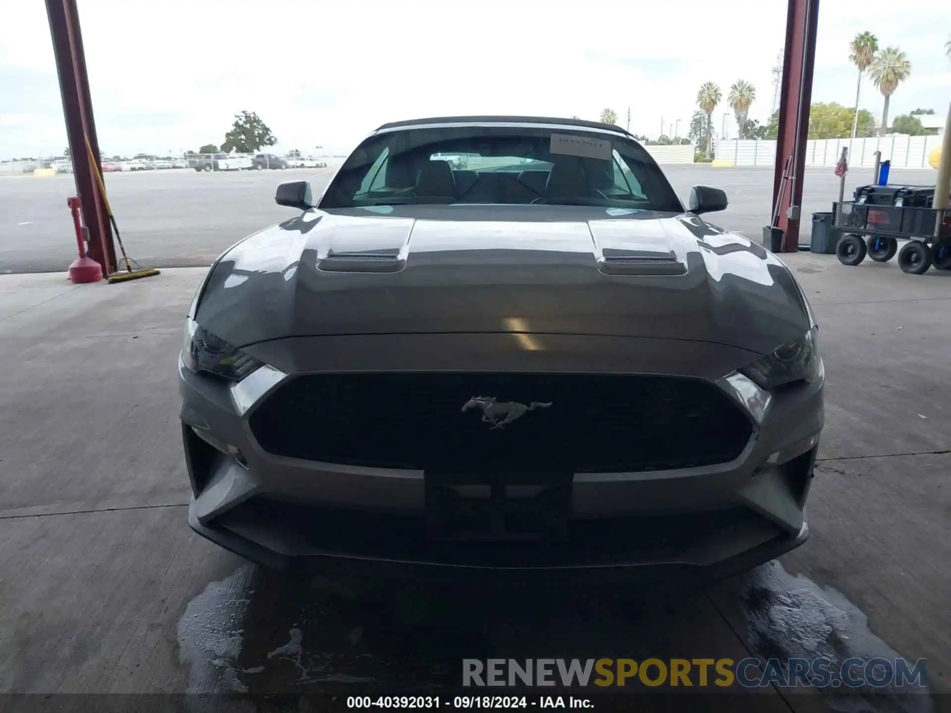 12 Photograph of a damaged car 1FATP8UH5M5122584 FORD MUSTANG 2021