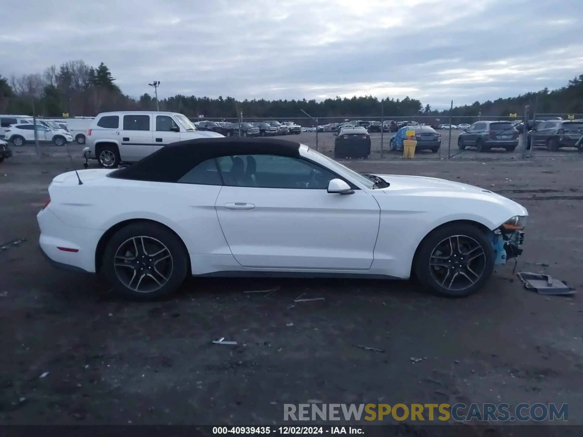 14 Photograph of a damaged car 1FATP8UH5M5122696 FORD MUSTANG 2021