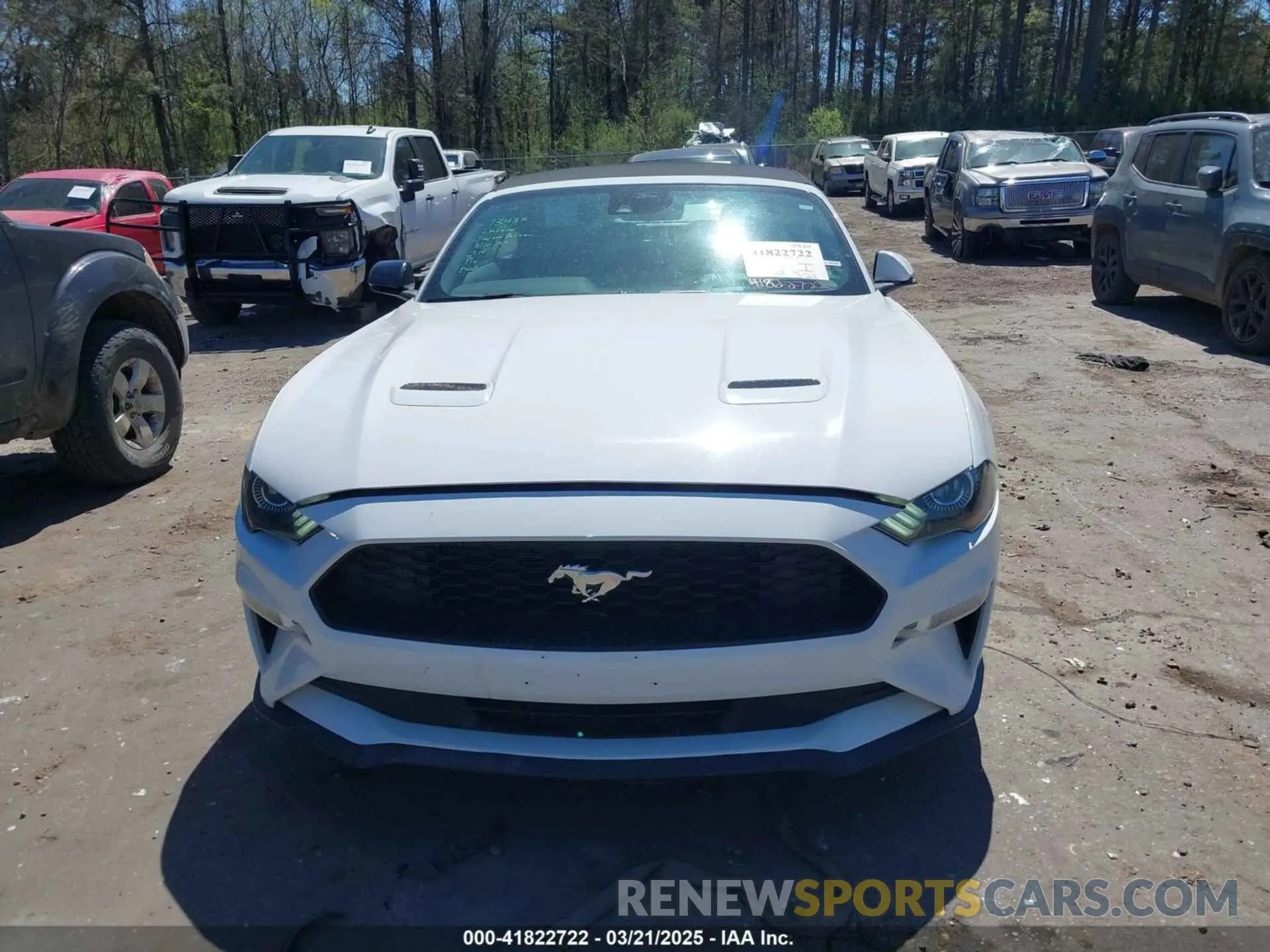 12 Photograph of a damaged car 1FATP8UH6M5103056 FORD MUSTANG 2021