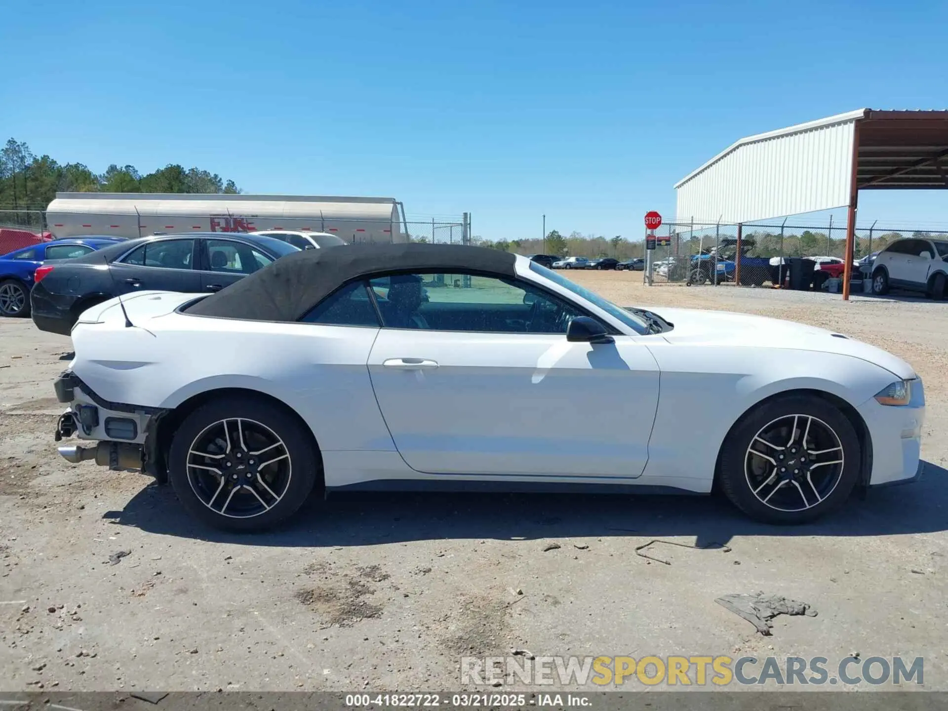 13 Photograph of a damaged car 1FATP8UH6M5103056 FORD MUSTANG 2021