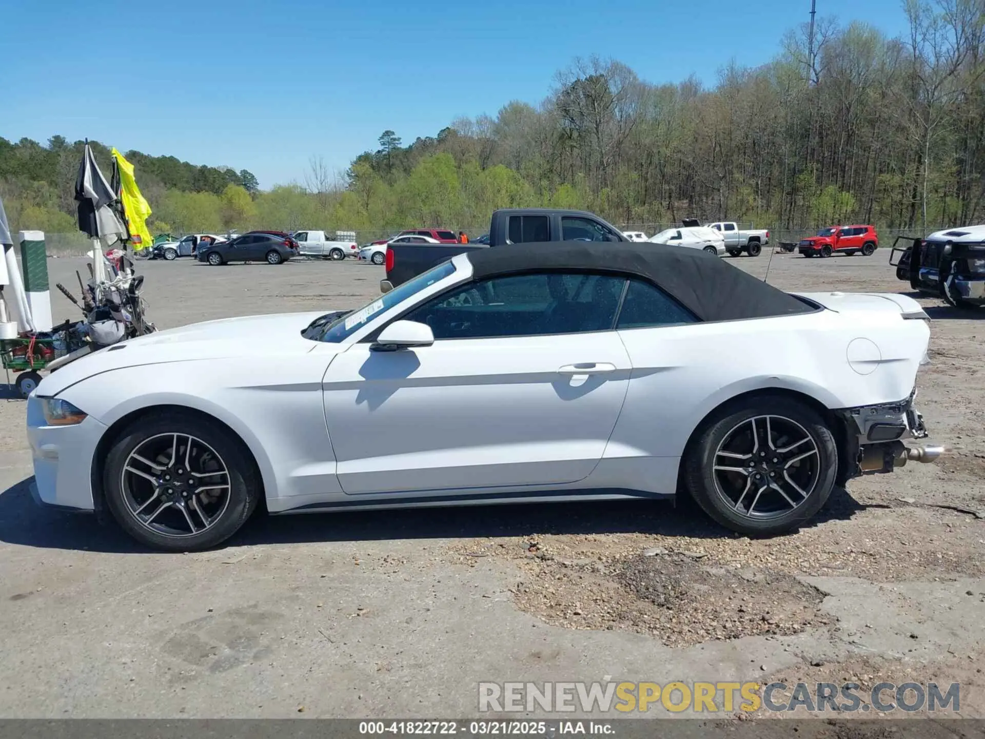 14 Photograph of a damaged car 1FATP8UH6M5103056 FORD MUSTANG 2021