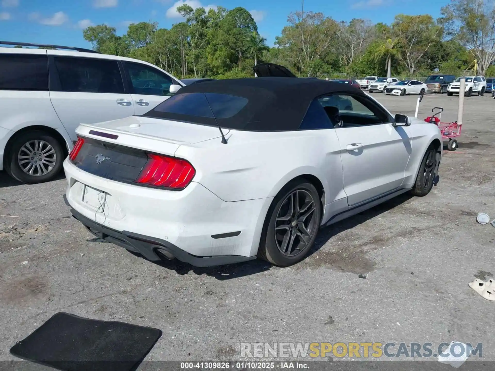 4 Photograph of a damaged car 1FATP8UH7M5100201 FORD MUSTANG 2021