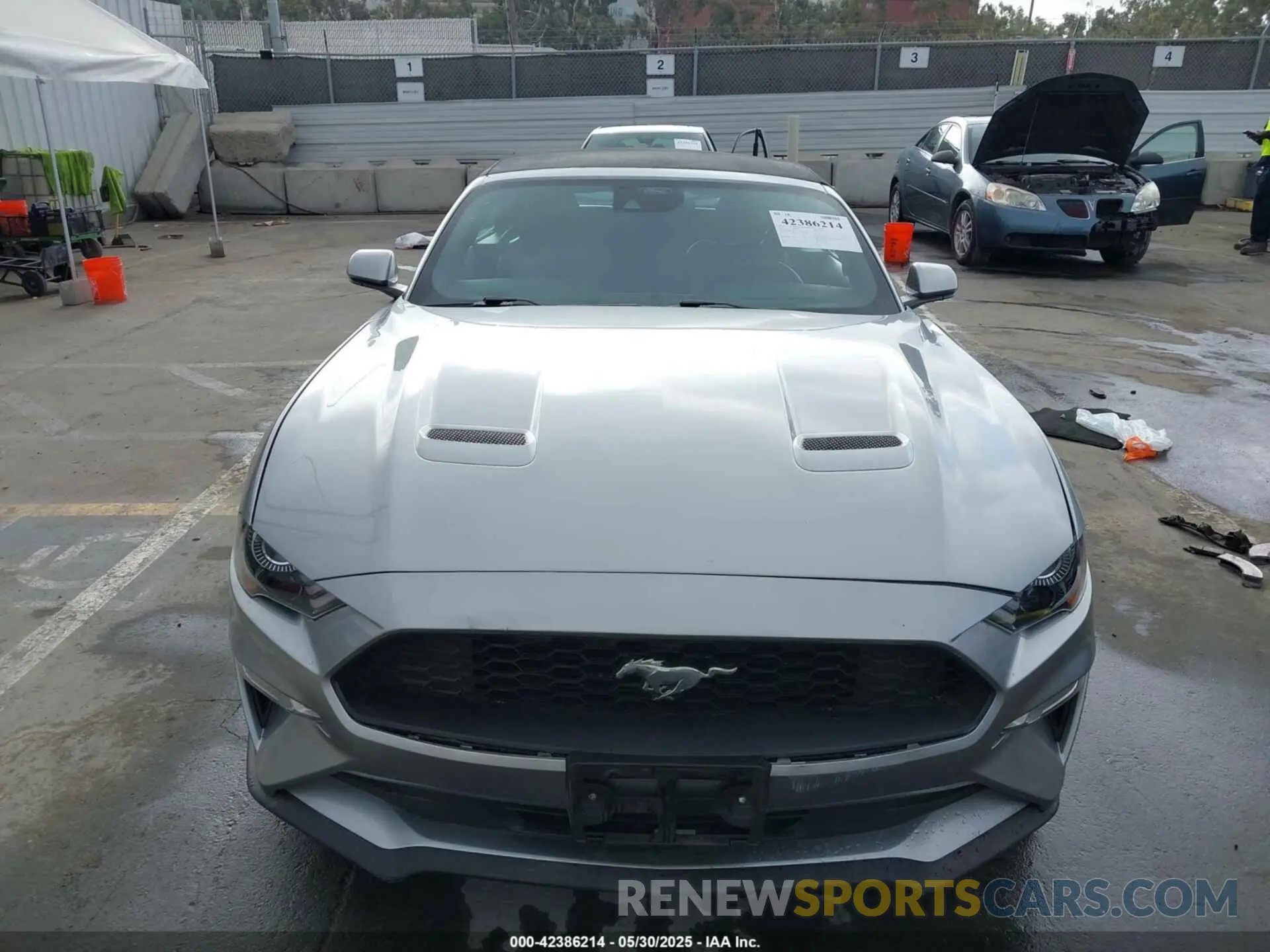 12 Photograph of a damaged car 1FATP8UH7M5115605 FORD MUSTANG 2021
