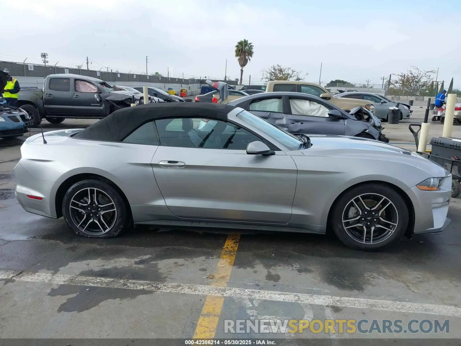 13 Photograph of a damaged car 1FATP8UH7M5115605 FORD MUSTANG 2021