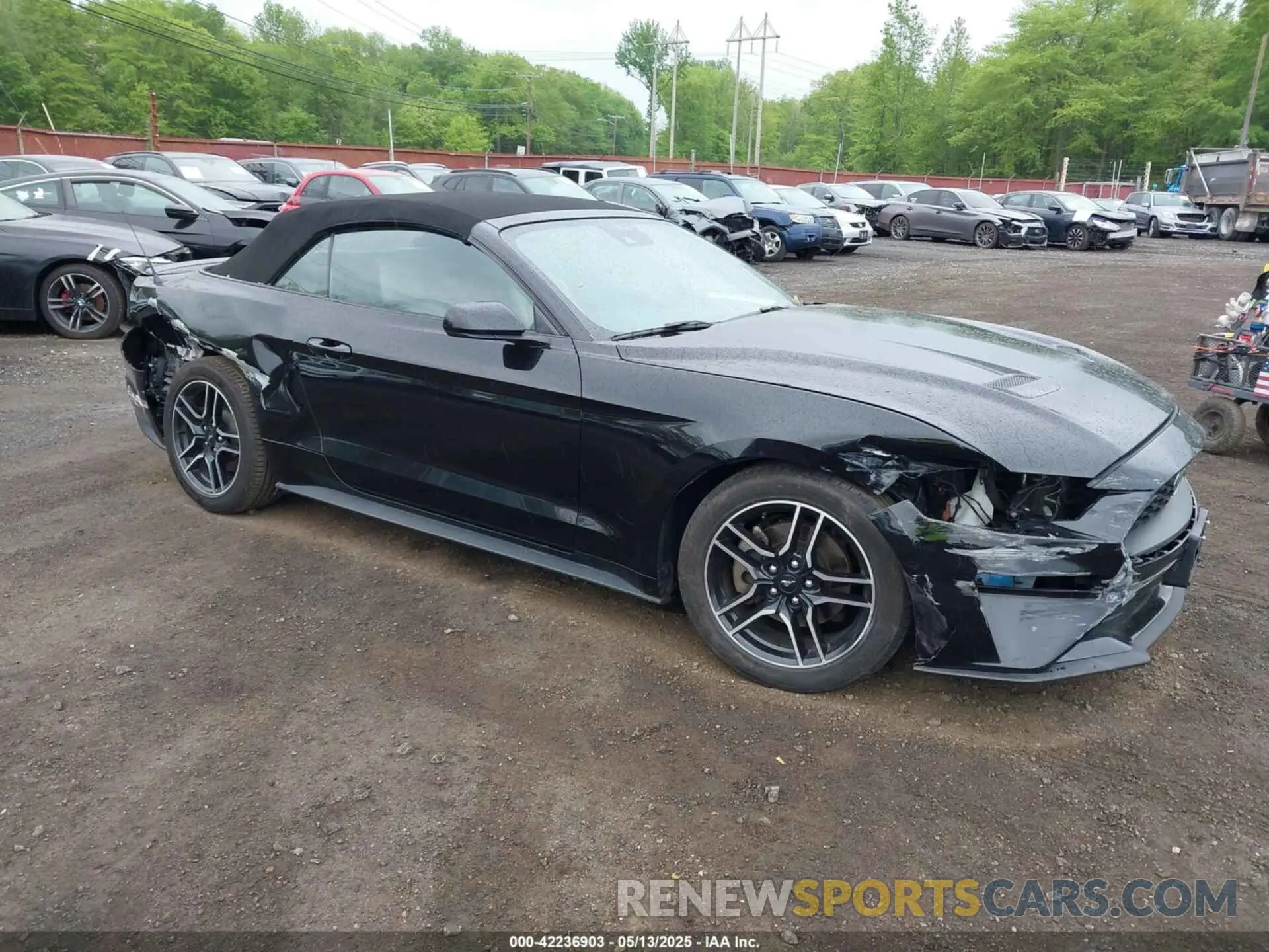 1 Photograph of a damaged car 1FATP8UH7M5122537 FORD MUSTANG 2021