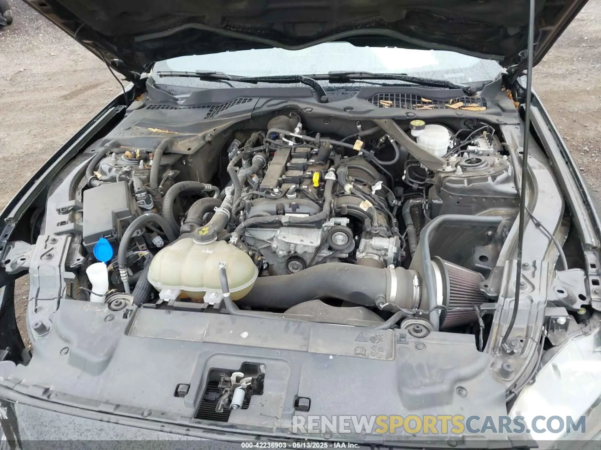 10 Photograph of a damaged car 1FATP8UH7M5122537 FORD MUSTANG 2021