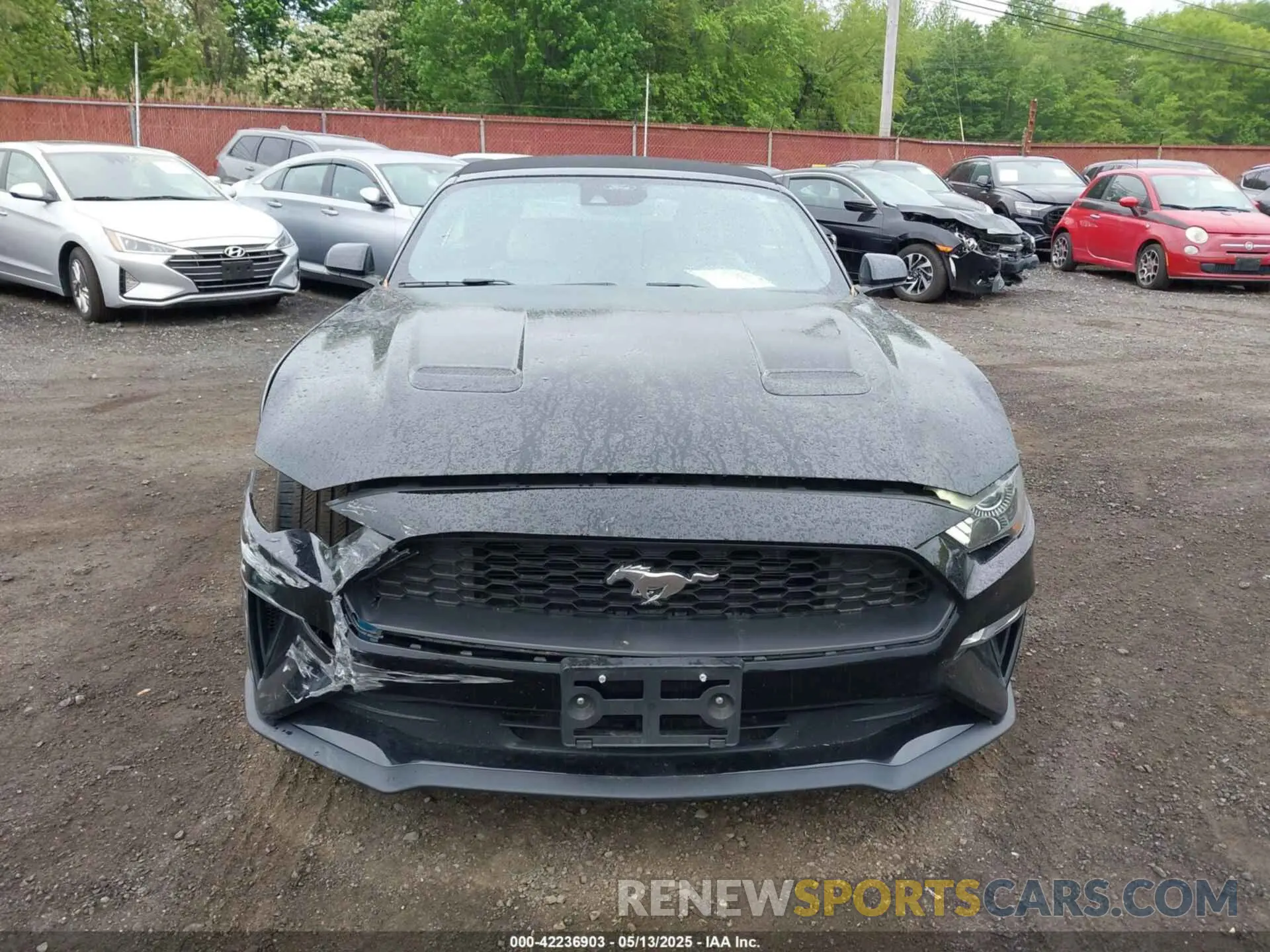 12 Photograph of a damaged car 1FATP8UH7M5122537 FORD MUSTANG 2021