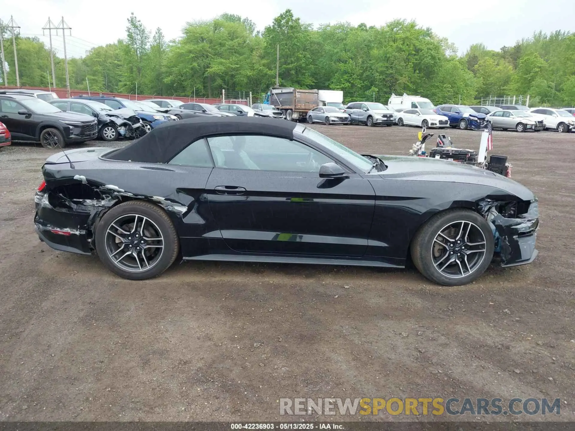 13 Photograph of a damaged car 1FATP8UH7M5122537 FORD MUSTANG 2021