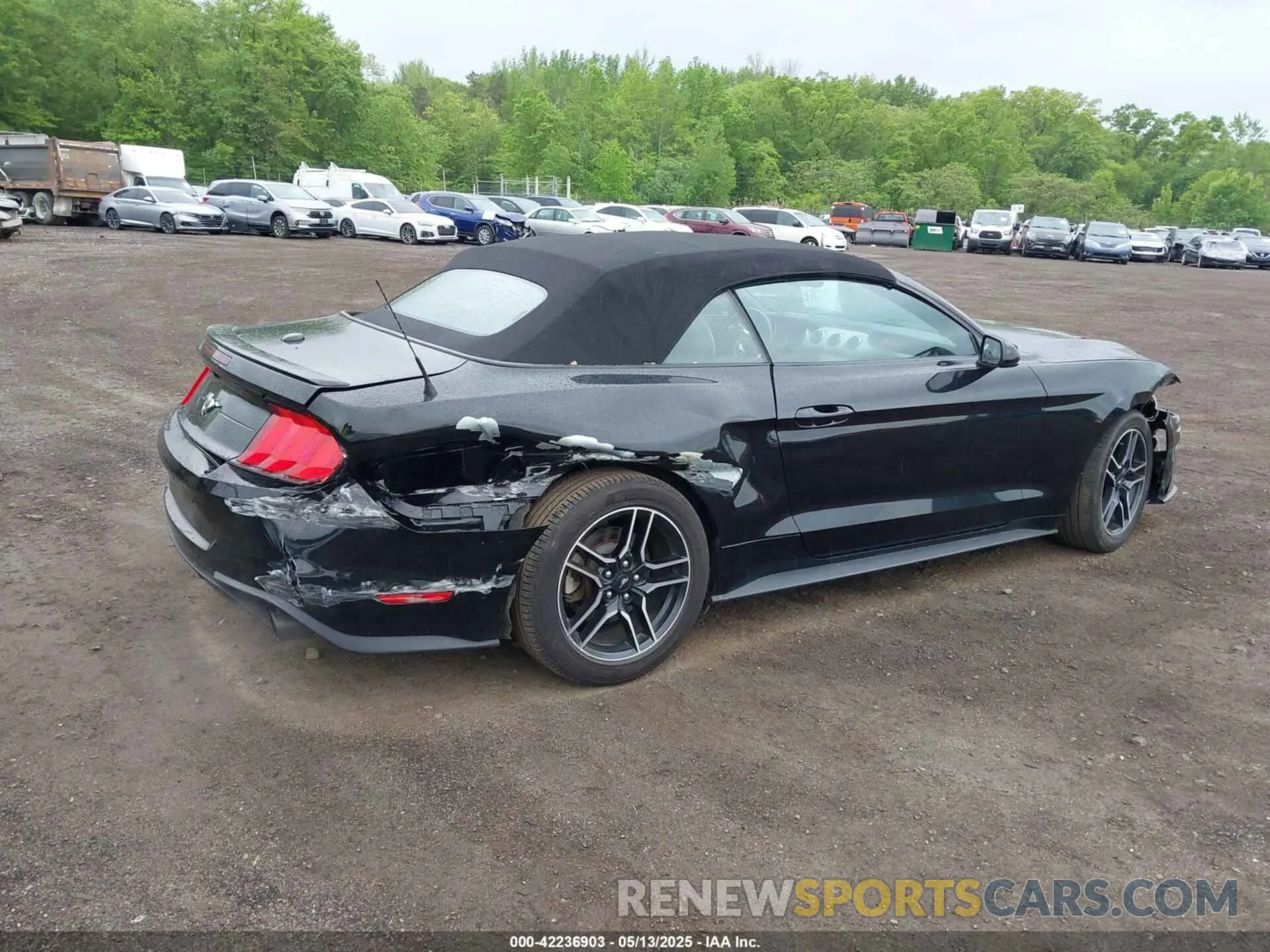 17 Photograph of a damaged car 1FATP8UH7M5122537 FORD MUSTANG 2021