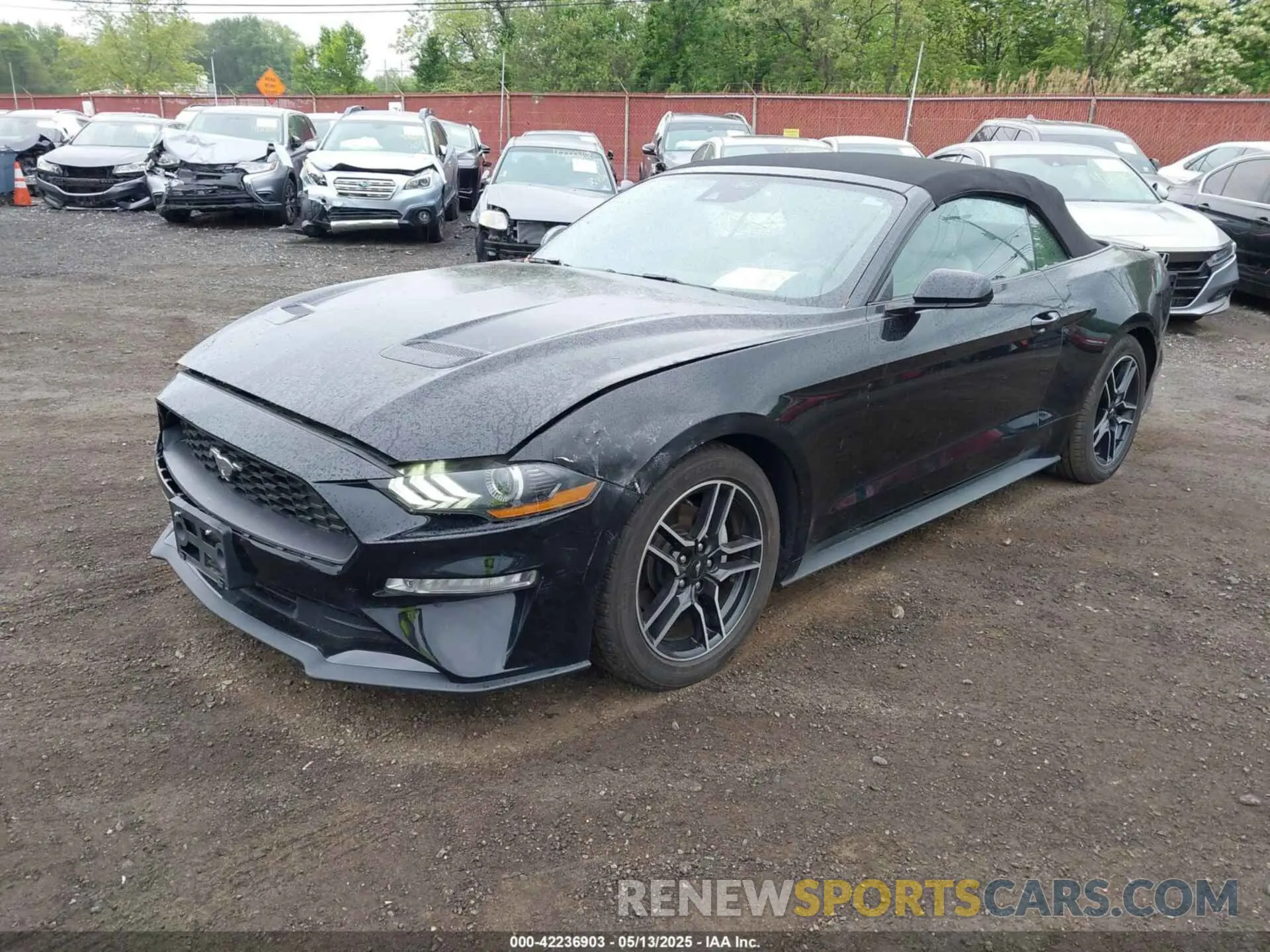 2 Photograph of a damaged car 1FATP8UH7M5122537 FORD MUSTANG 2021