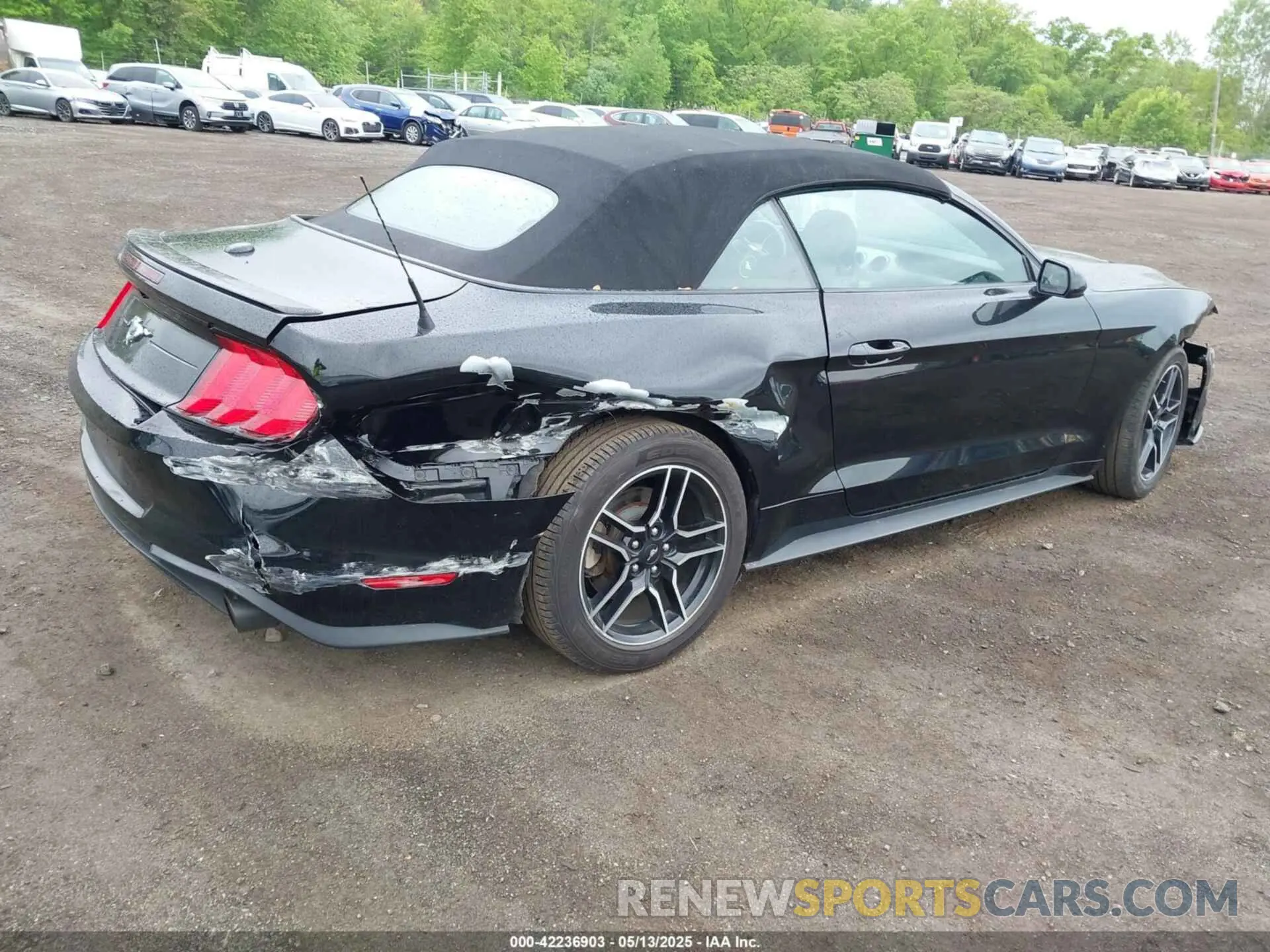 4 Photograph of a damaged car 1FATP8UH7M5122537 FORD MUSTANG 2021