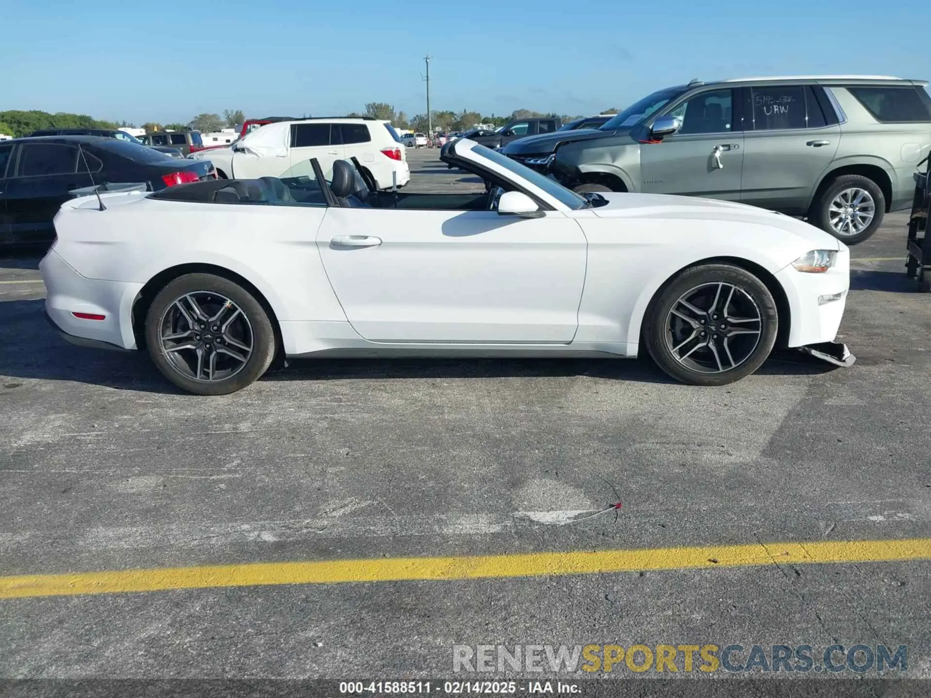 14 Photograph of a damaged car 1FATP8UH9M5104301 FORD MUSTANG 2021