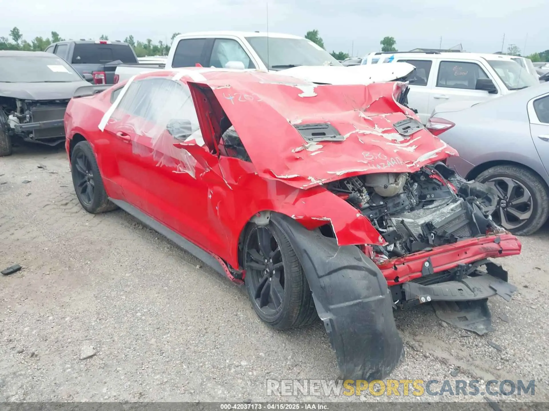 1 Photograph of a damaged car 1FA6P8CF0N5131000 FORD MUSTANG 2022