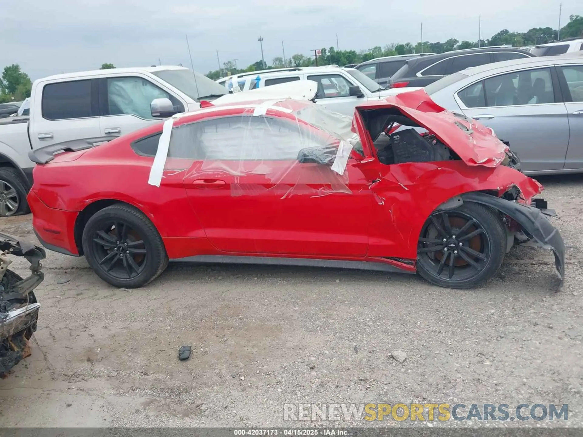 12 Photograph of a damaged car 1FA6P8CF0N5131000 FORD MUSTANG 2022