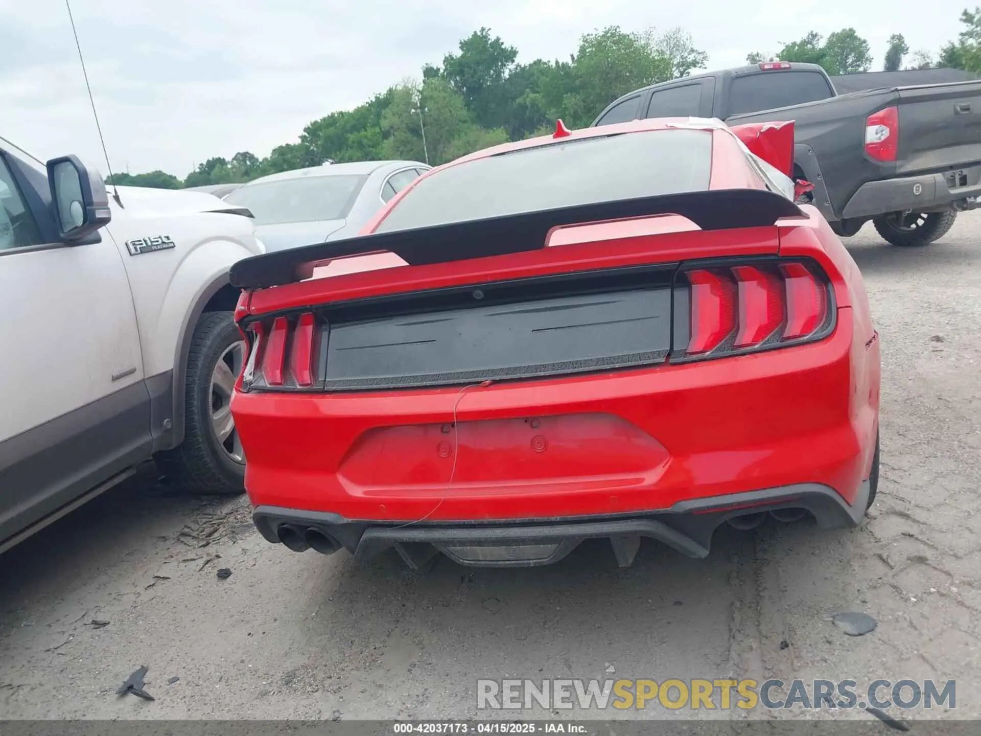 15 Photograph of a damaged car 1FA6P8CF0N5131000 FORD MUSTANG 2022
