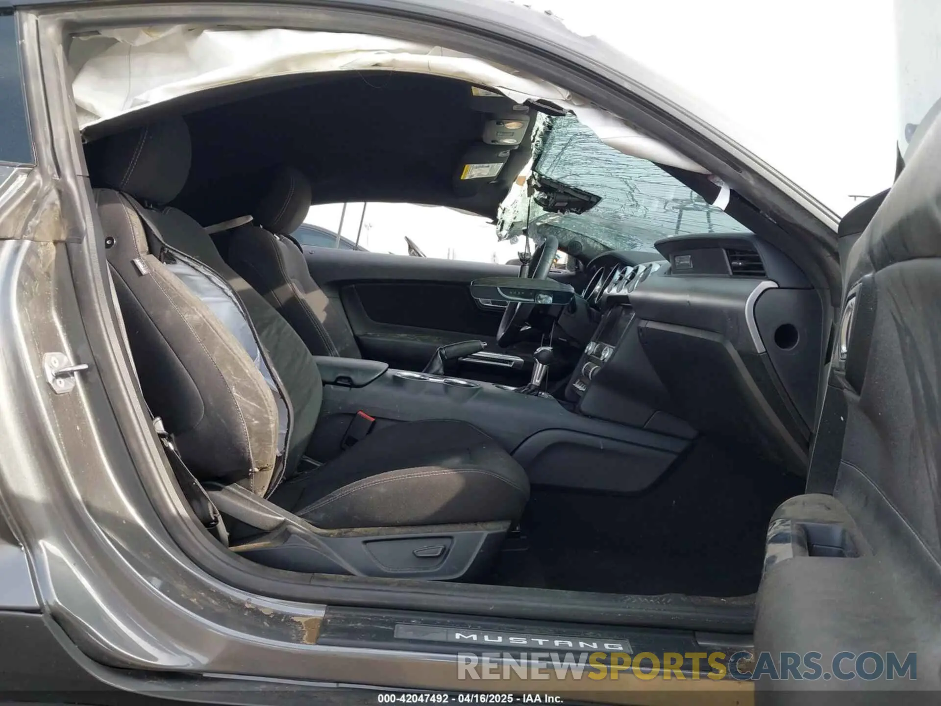 5 Photograph of a damaged car 1FA6P8CF2N5131421 FORD MUSTANG 2022