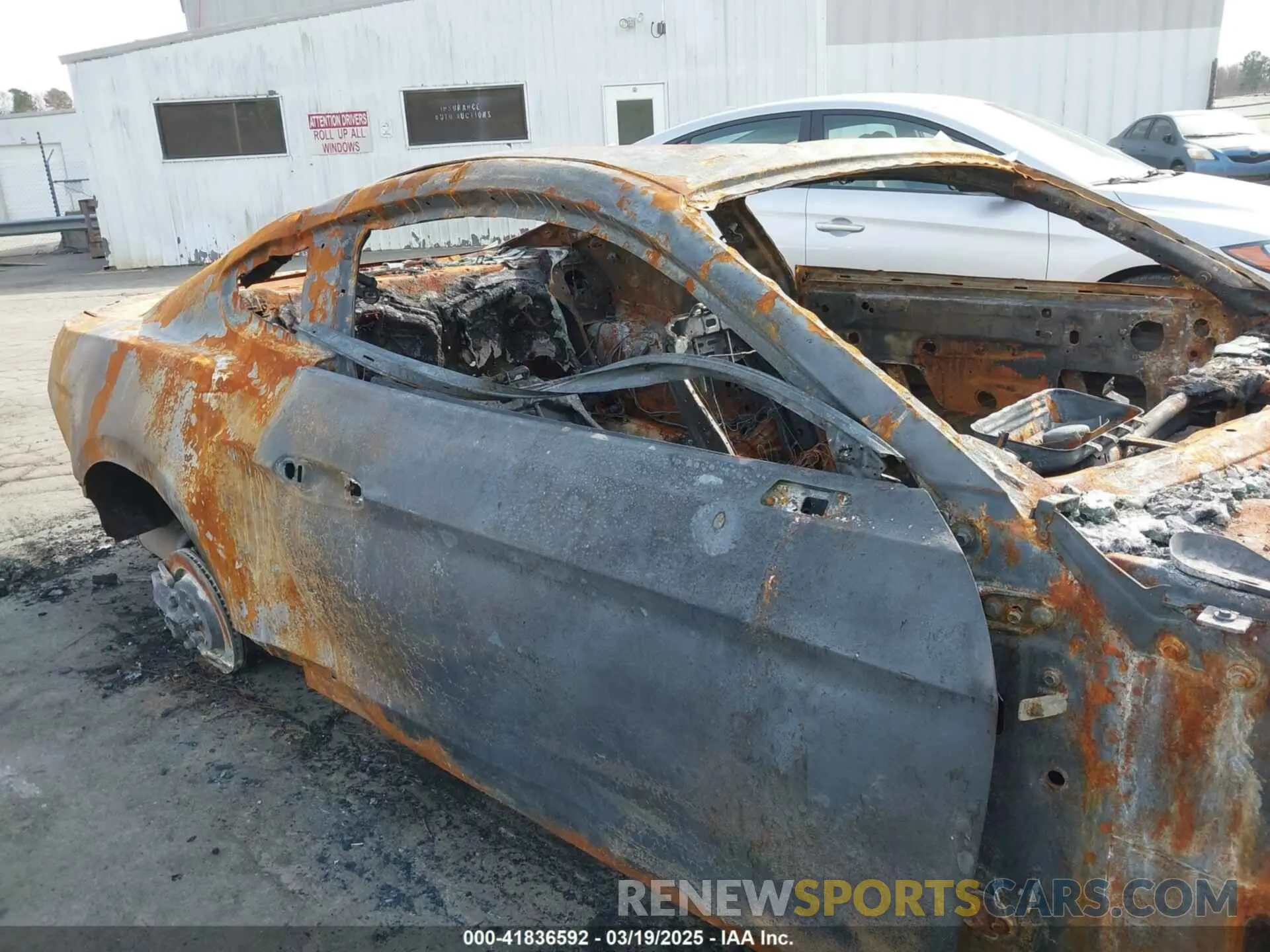 12 Photograph of a damaged car 1FA6P8CF2N5134982 FORD MUSTANG 2022